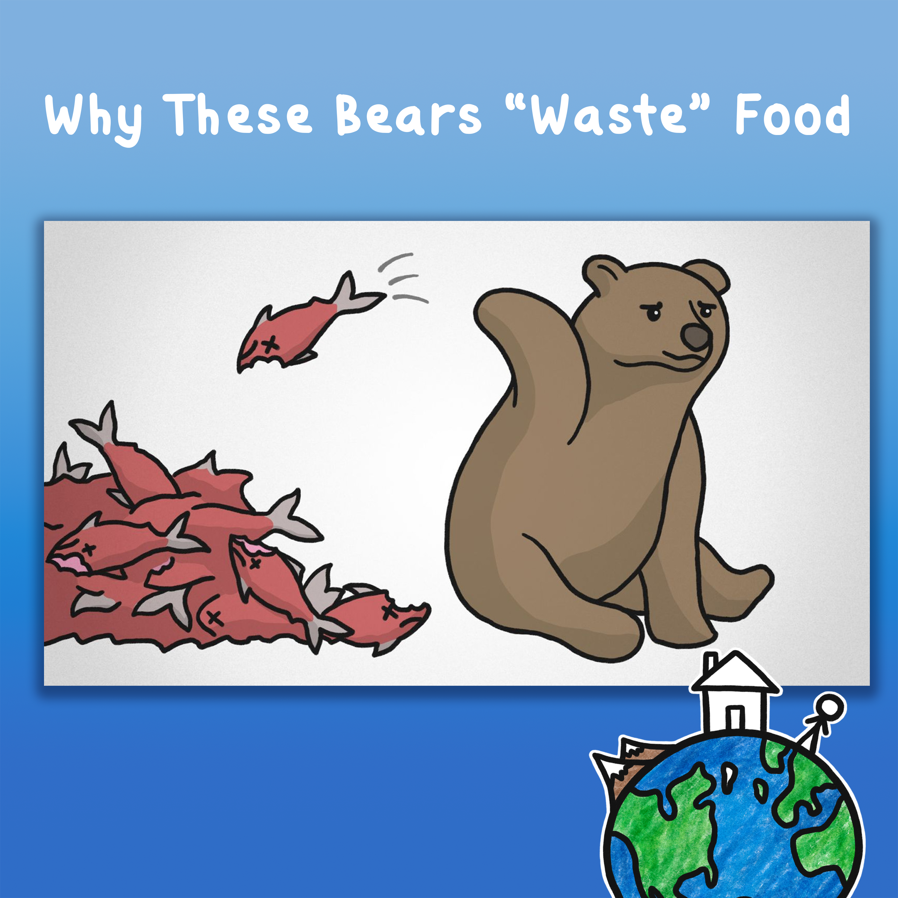 Why These Bears “Waste” Food