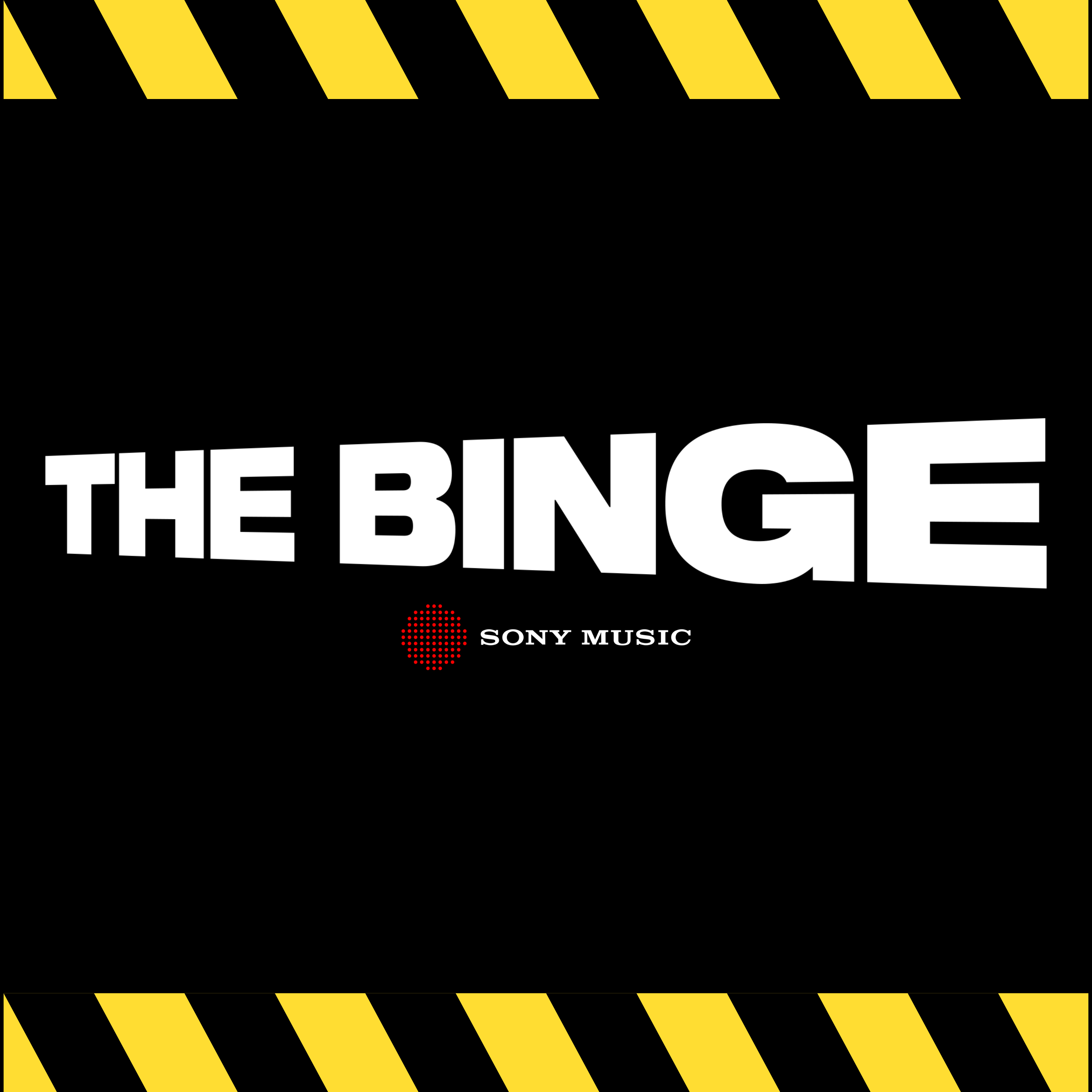The Binge Cases: Watching You