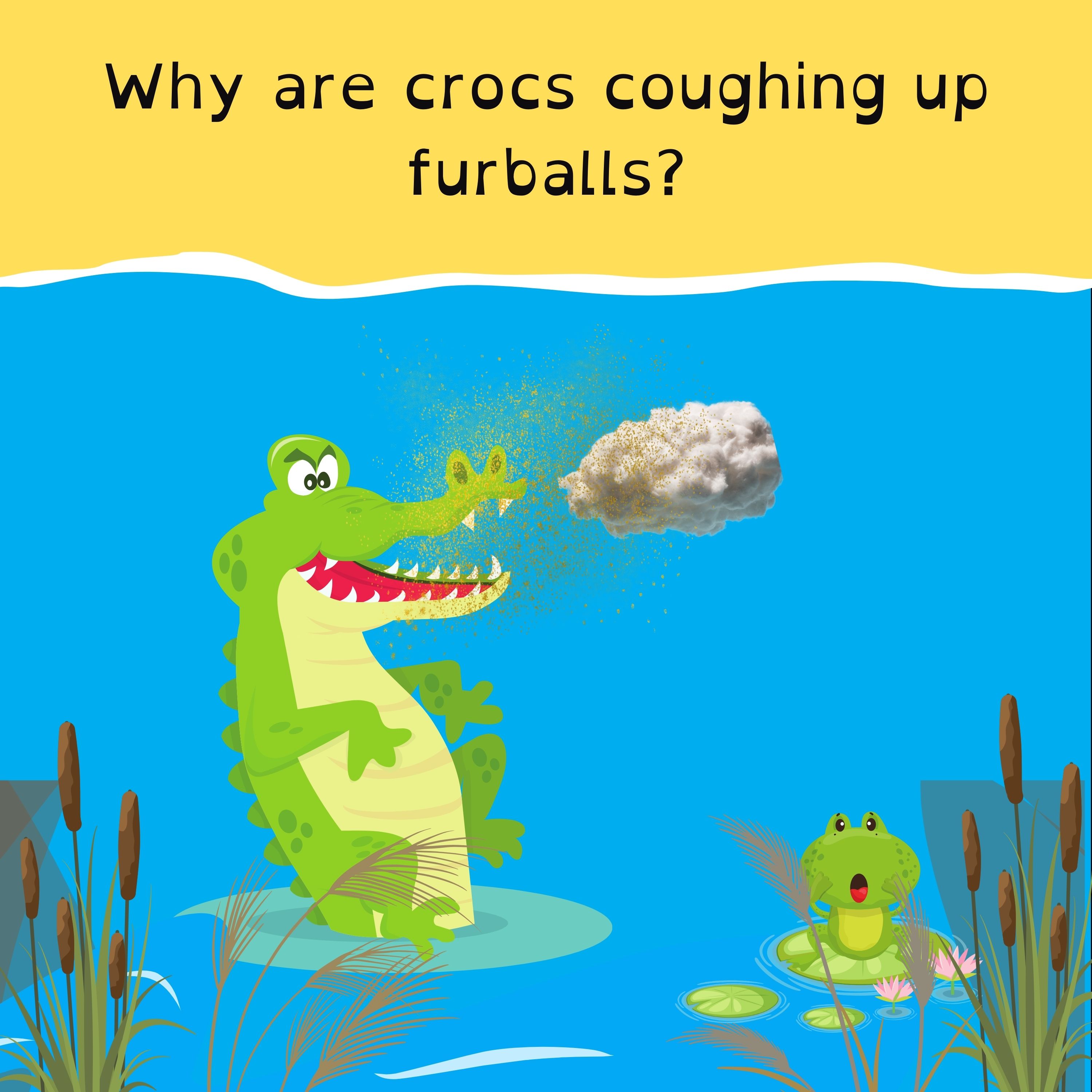 Heatwave sweeps south-east; the holy month of Ramadan; Barbie set to swoop Oscars; and crocodile fur balls.