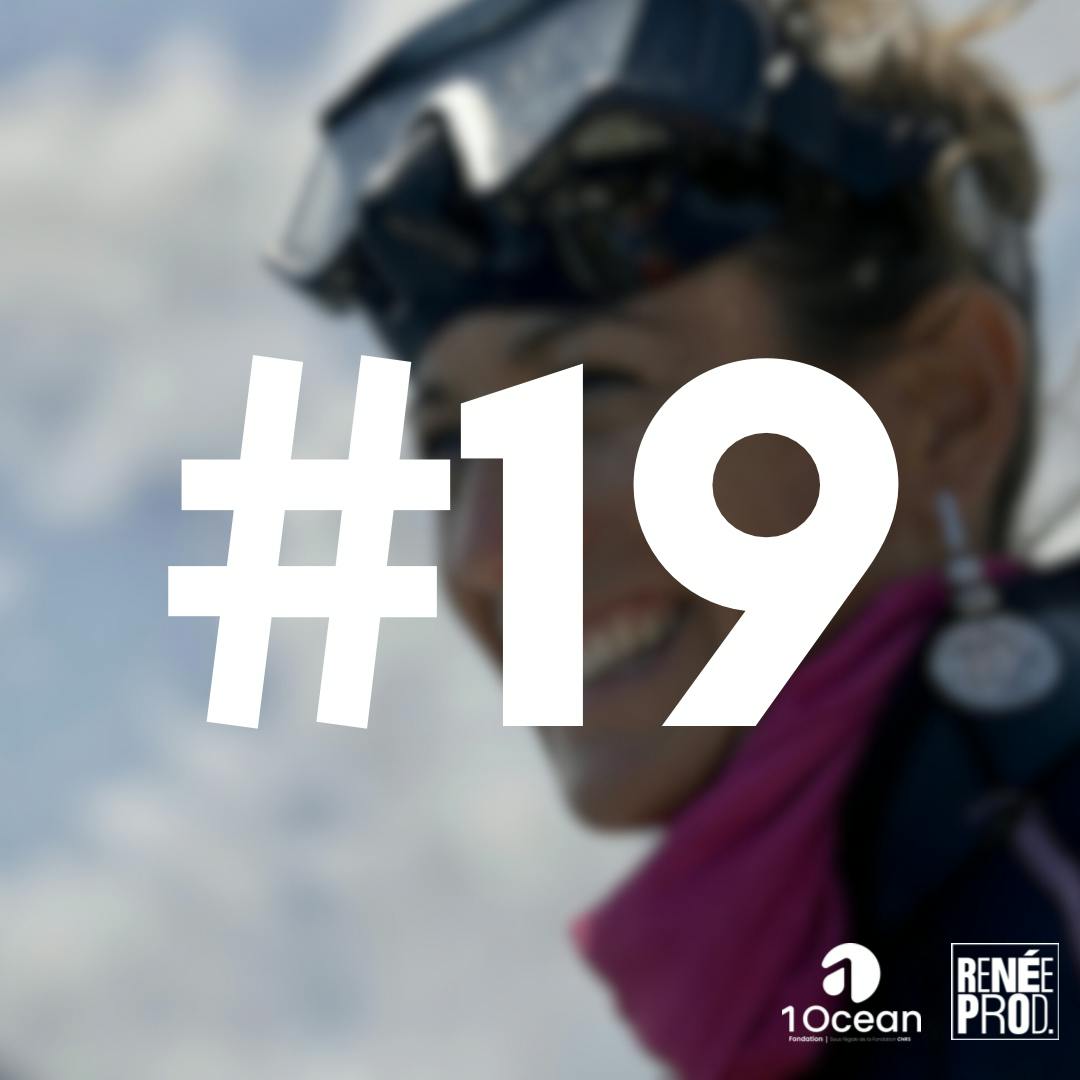 Plongeon au milieu des coraux Plongeon au milieu des coraux