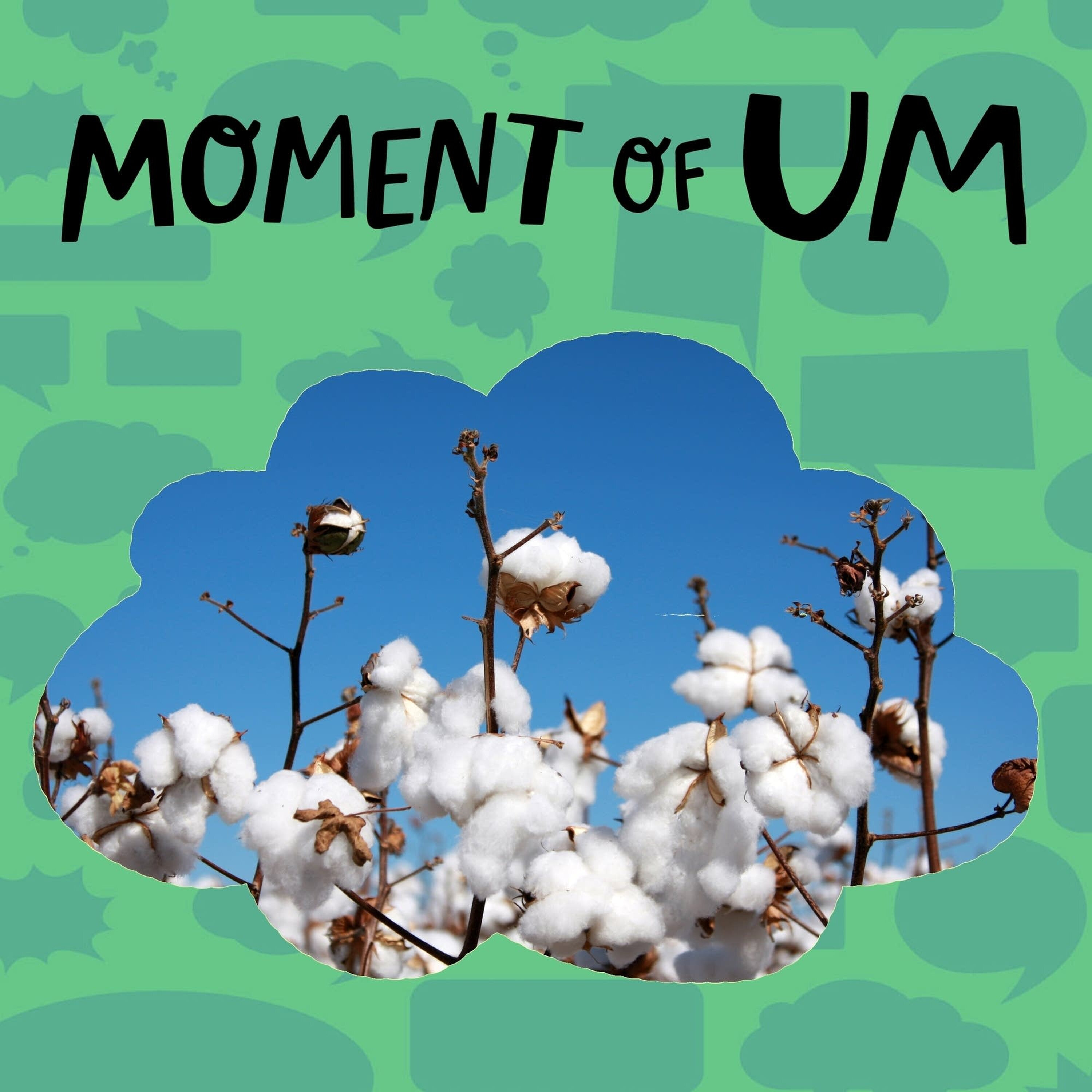 Why is cotton so fluffy?