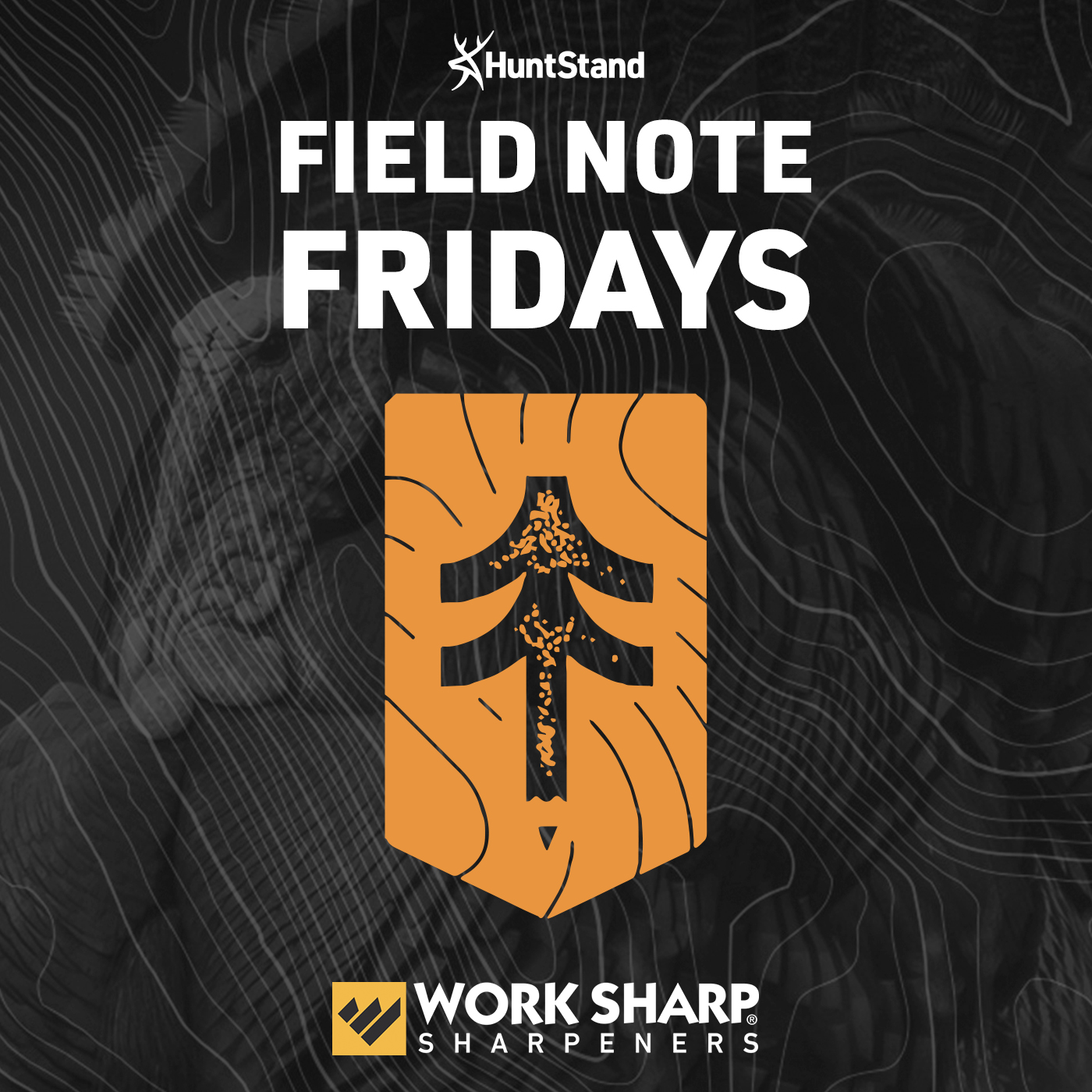 #016 - Field Note Friday - THE Turkey King Report