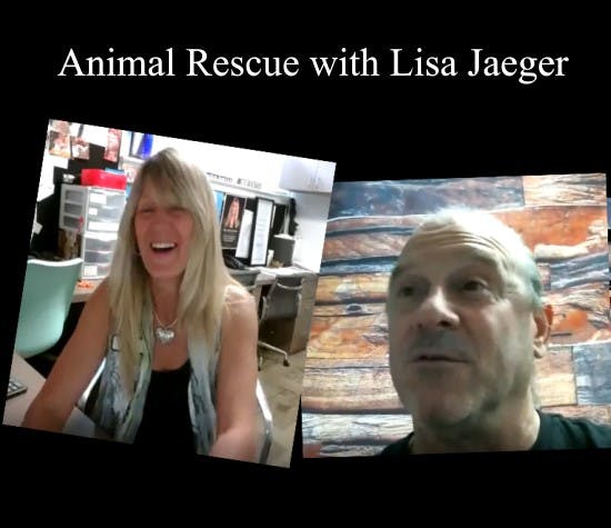 Animal Rescue with Lisa Jaeger
