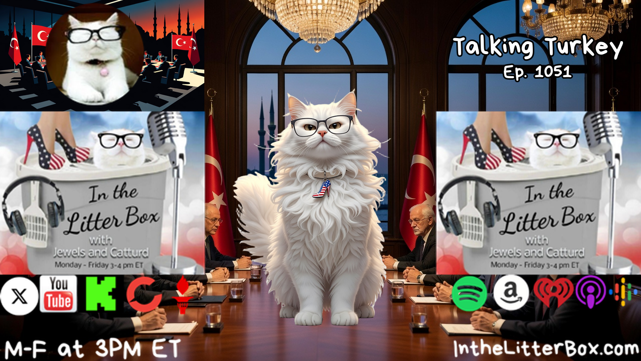 Talking Turkey | In the Litter Box w/ Jewels & Catturd – Ep. 1051 – 7/8/2026