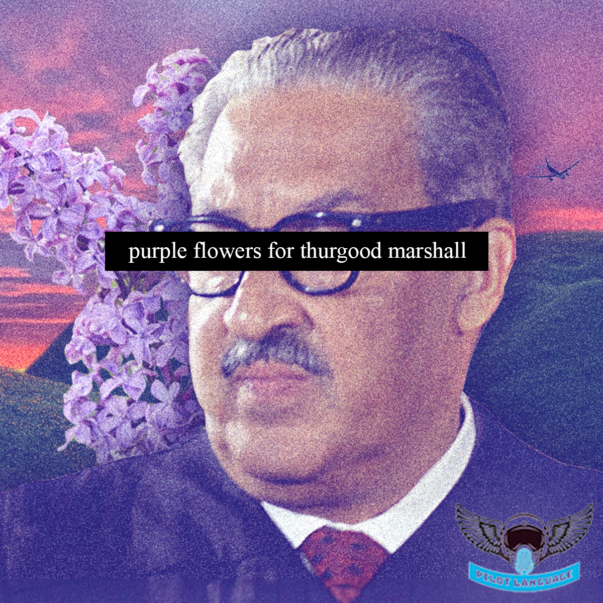 Purple Flowers for Thurgood Marshall: From Baltimore Lawyer to Supreme Court Legend episode artwork