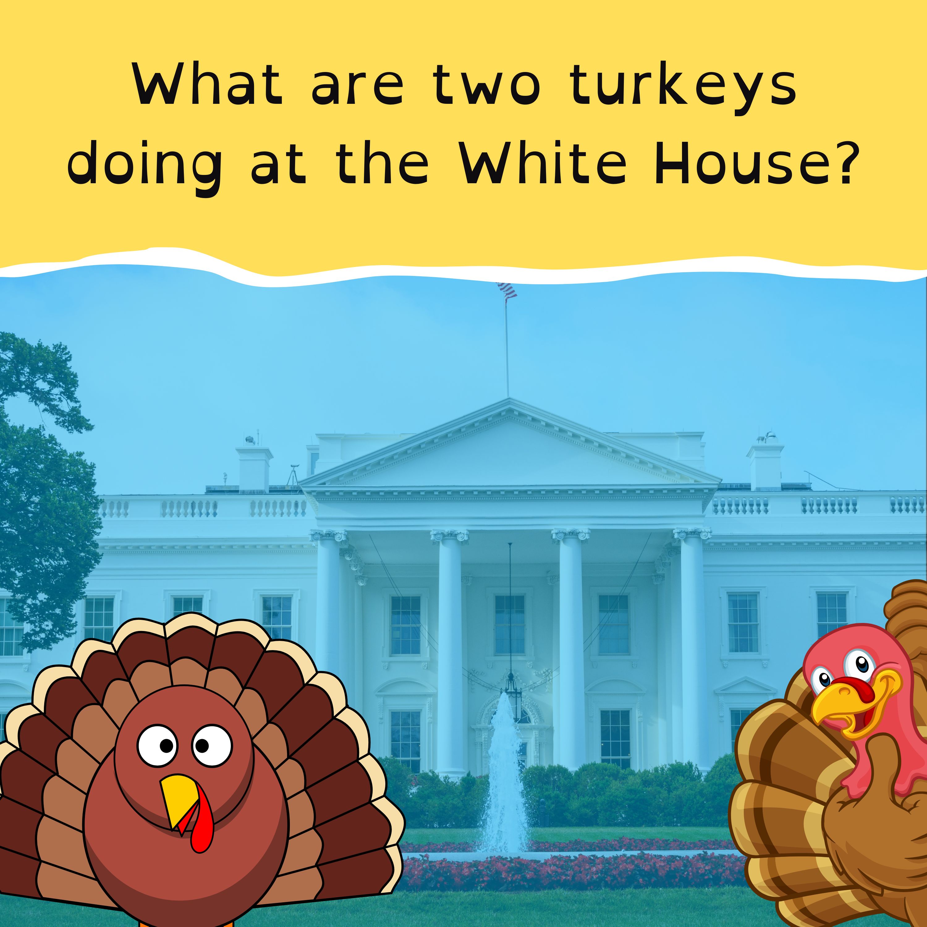 Aussie swim star hangs up the goggles; Scottish lighthouse treasure found; Tillies take the field; and bald eagles take the stage.