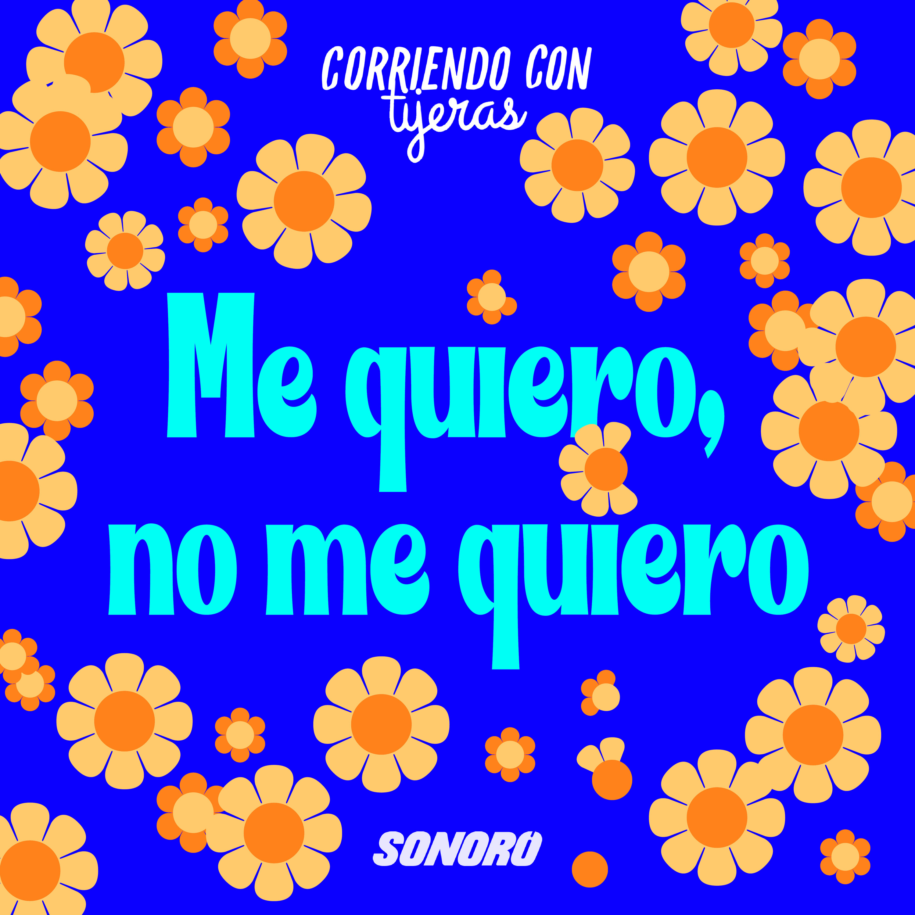 Me quiero,  no me quiero episode artwork