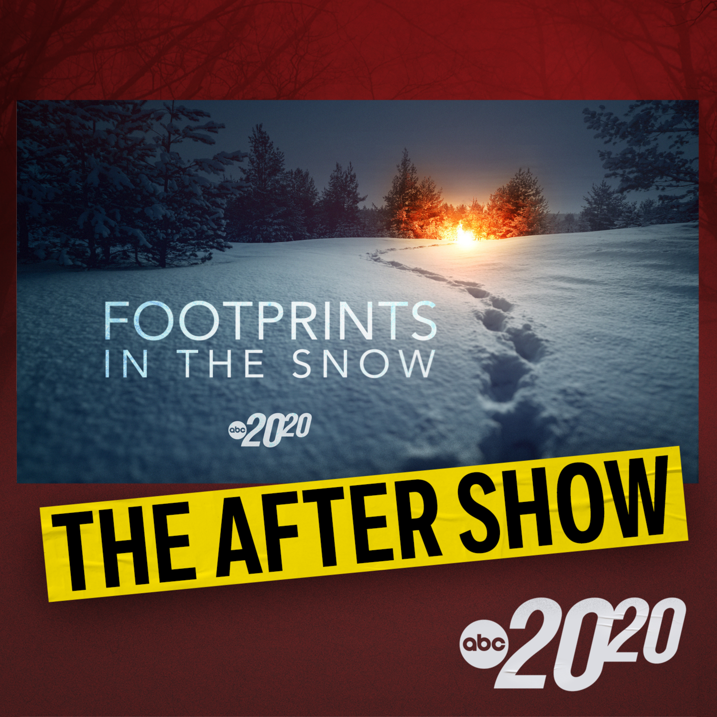 The After Show: Footprints in The Snow artwork