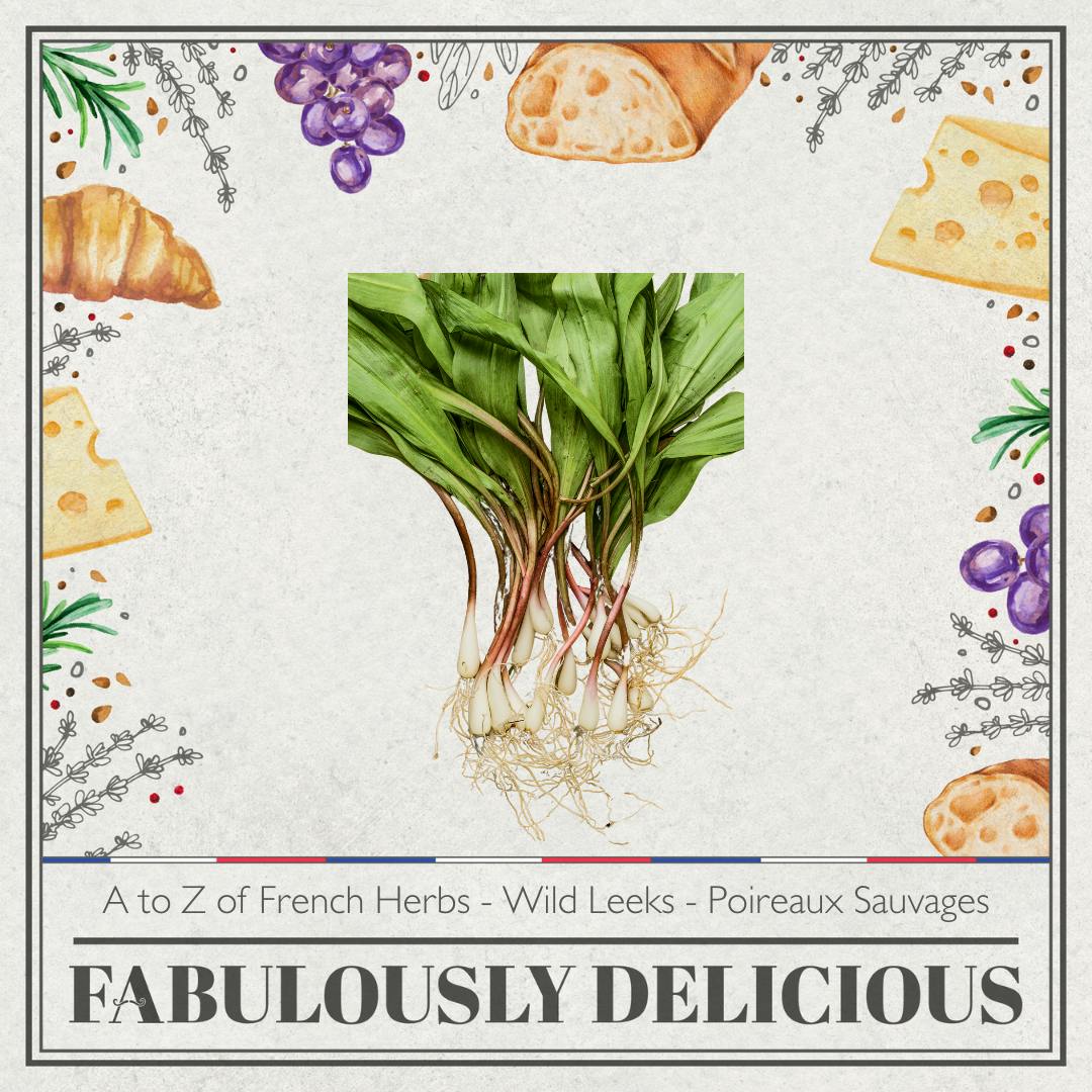 A to Z of French Herbs - Wild Leeks - Poireaux Sauvages