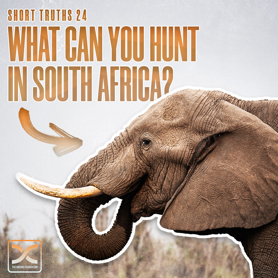 Short Truths 24 || What Can You Hunt In South Africa?