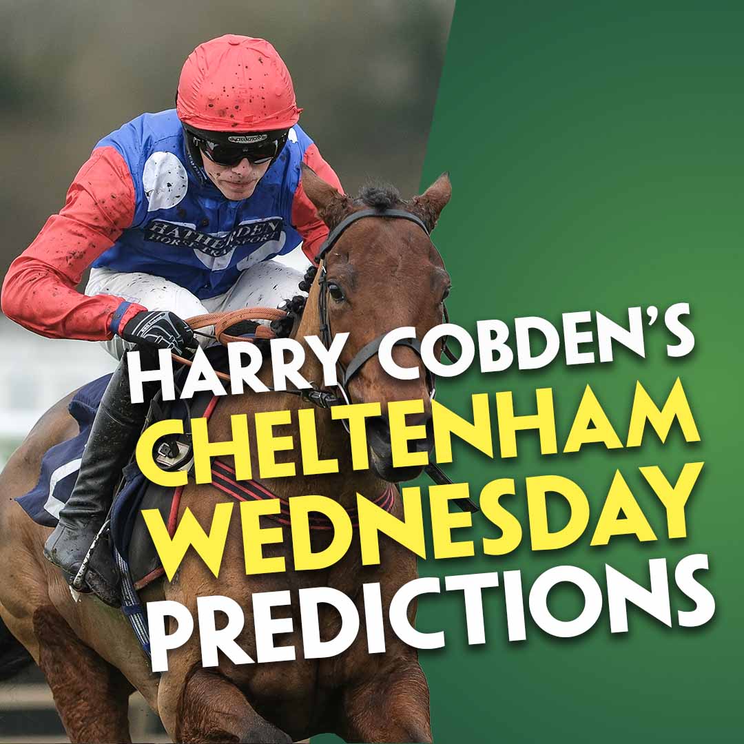 HARRY COBDEN'S CHELTENHAM WEDNESDAY PREDICTIONS | Three Rides For Willie Mullins | "Delighted to be riding him"