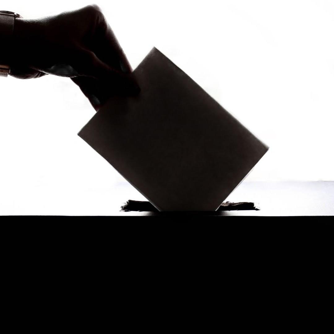 231. La crisis de la democracia