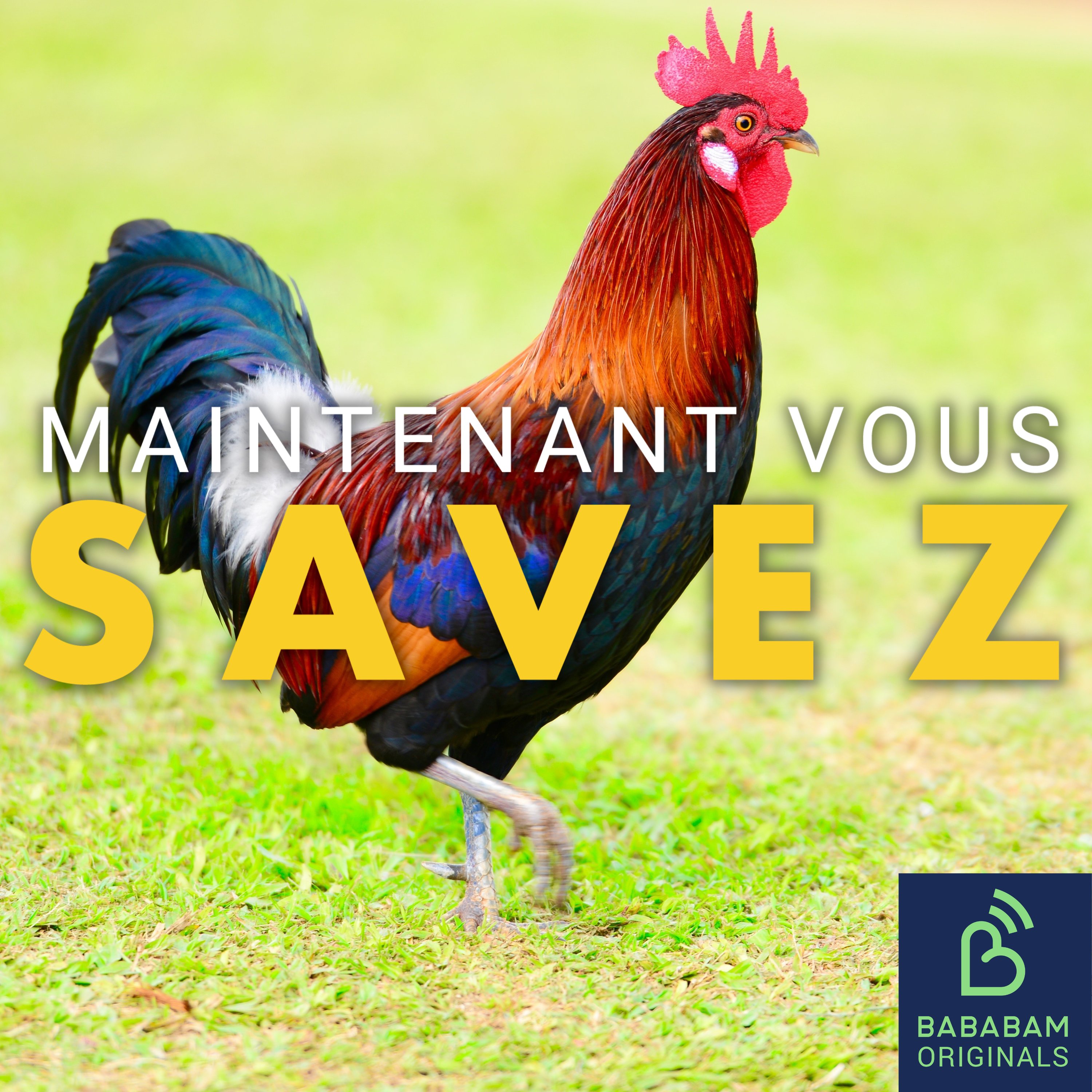 Pourquoi le coq est-il l’emblème de la France ? episode artwork