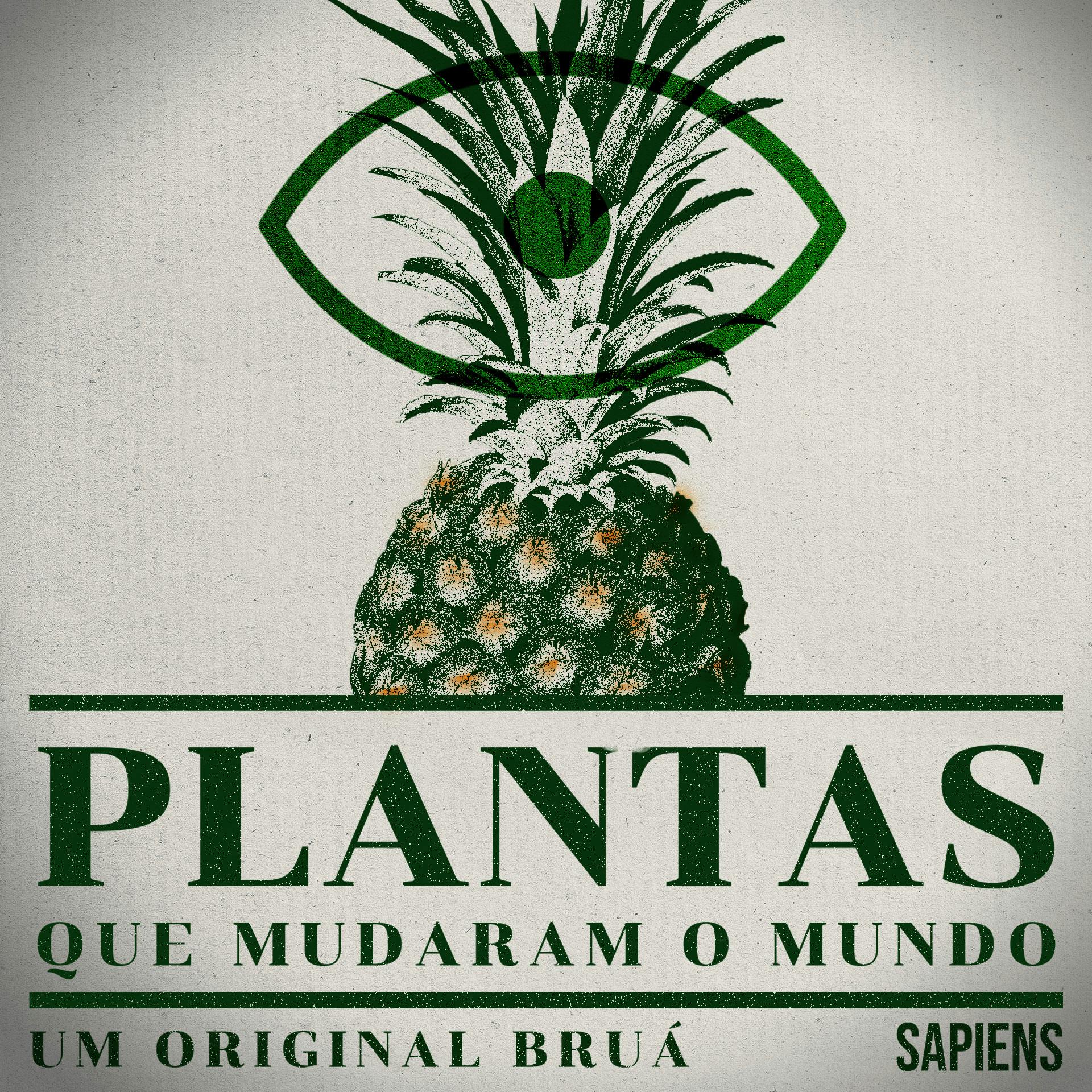 Plantas | 4. Trigo, o sustento da humanidade Plantas | 4. Trigo, o sustento da humanidade