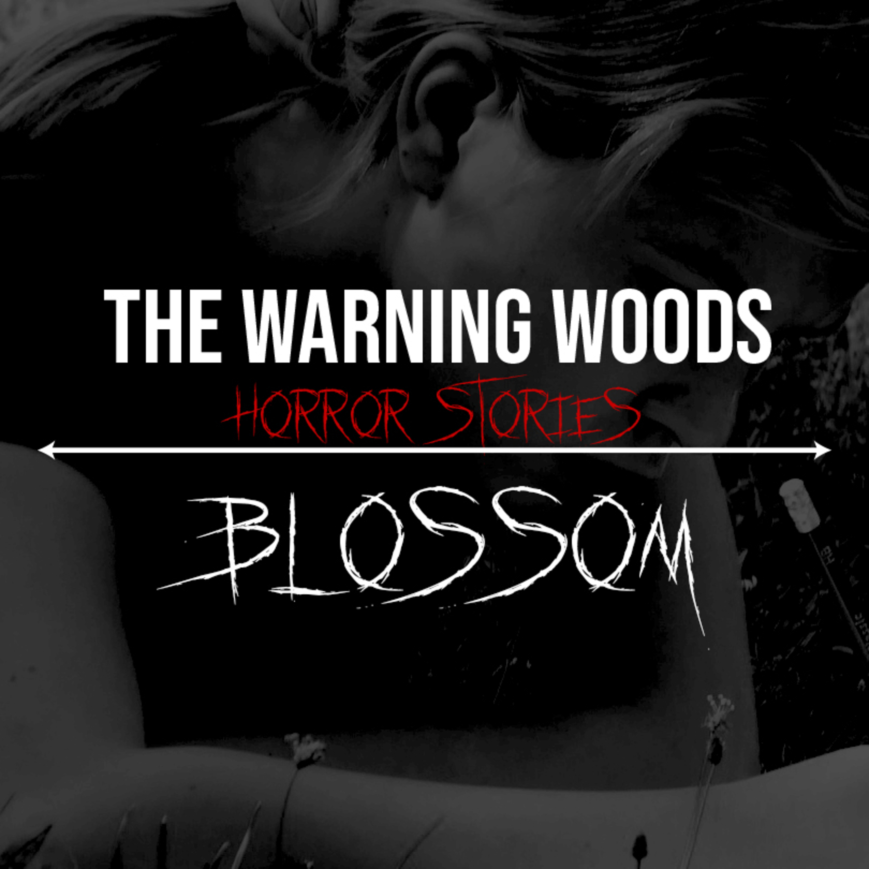 The Warning Woods | Horror Stories