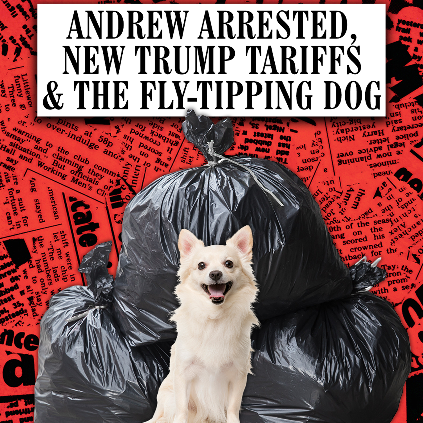 Andrew Arrested, New Trump Tariffs & The Fly-Tipping Dog