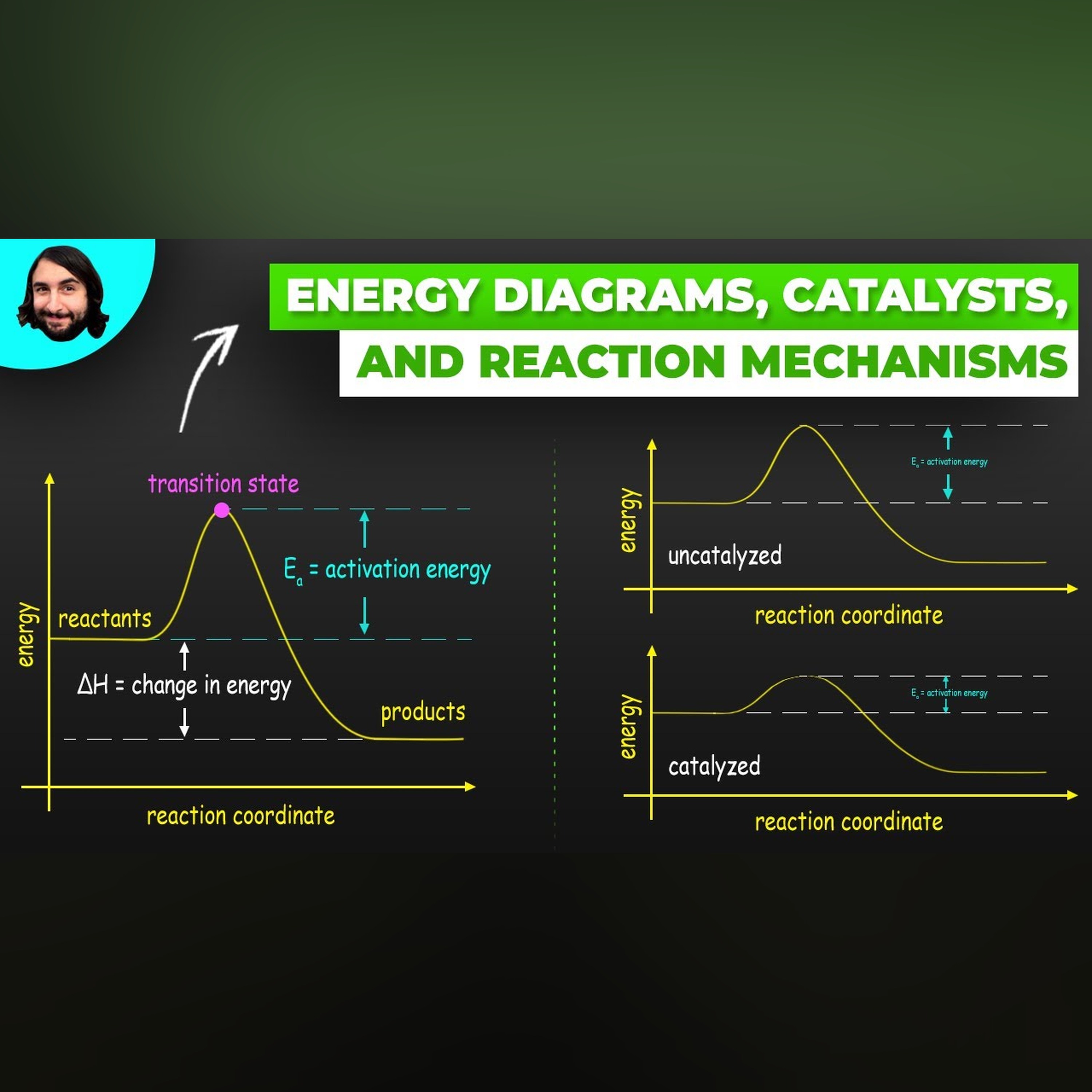 Energy Diagrams, Catalysts, and Reaction Mechanisms