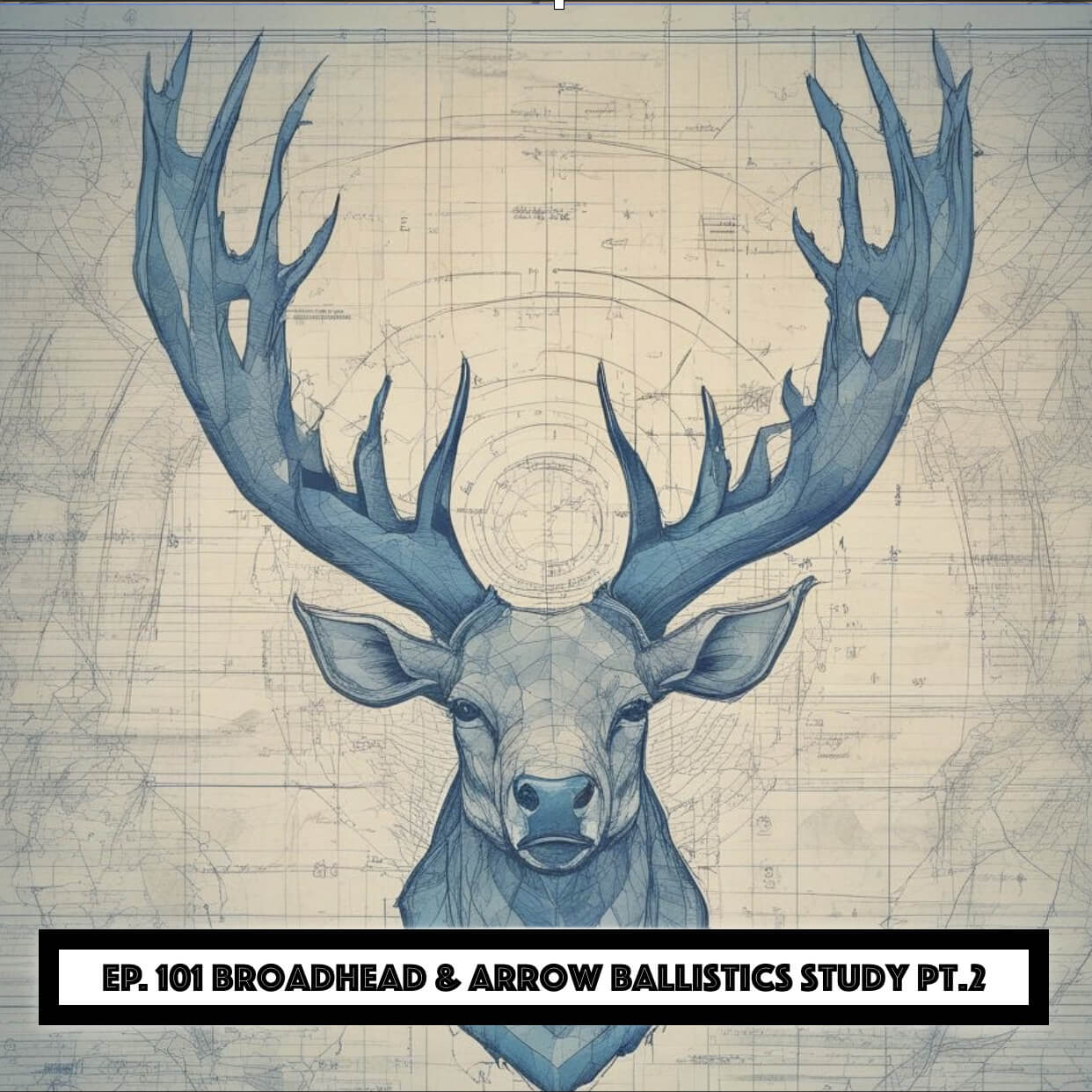 Hunt Detail - Broadhead & Arrow Ballistics Study Pt. 2