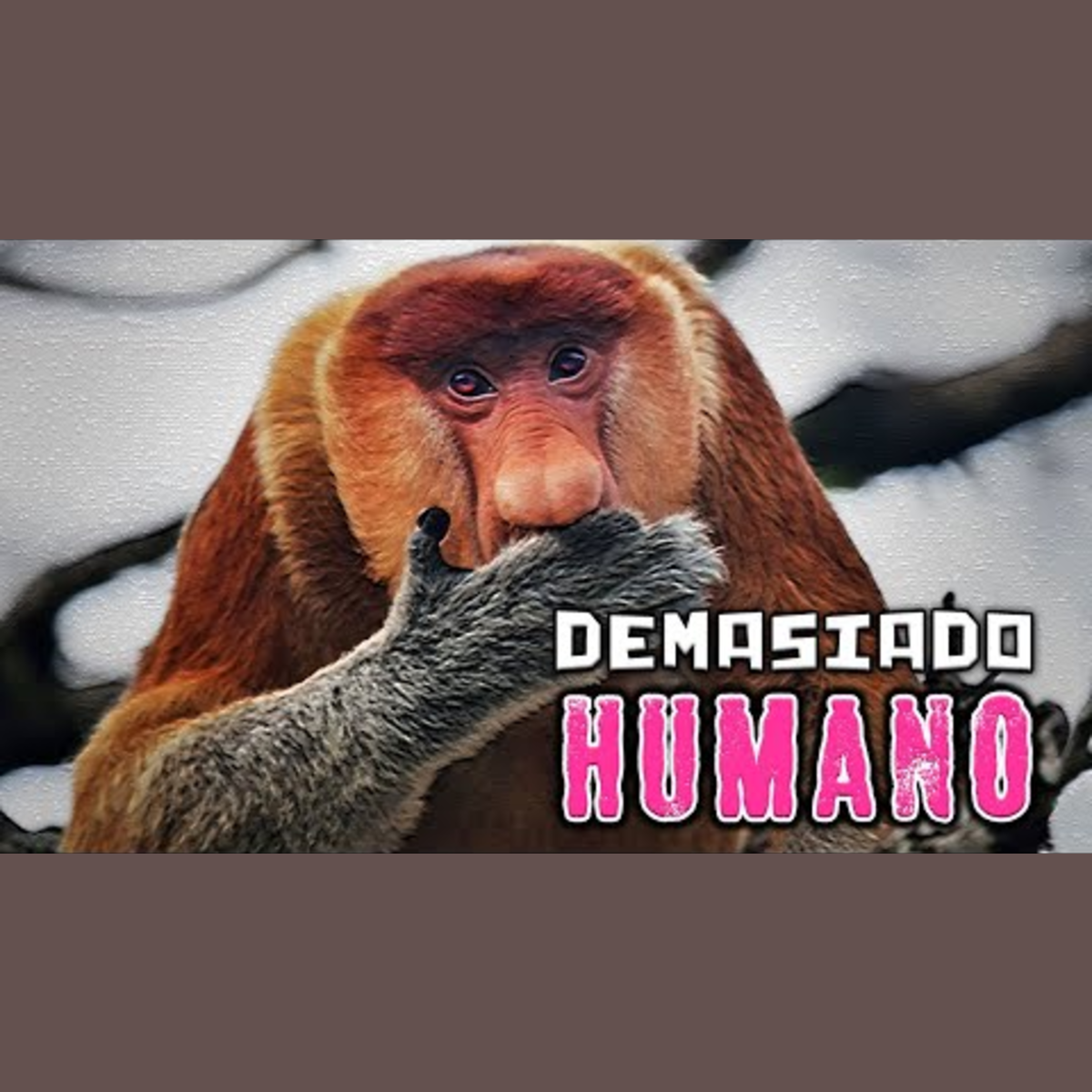 Animalogic En Español