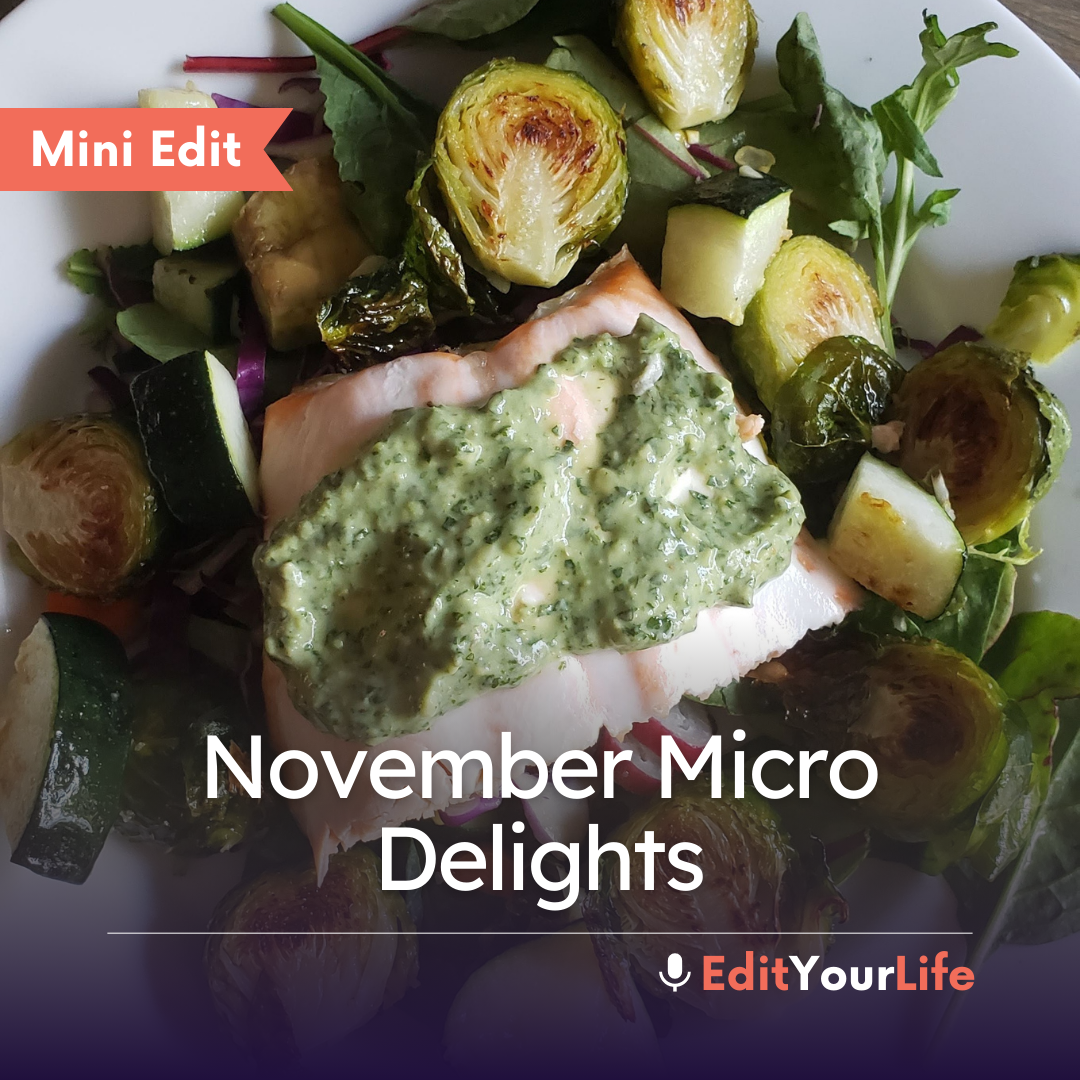 Mini Edit: November Micro Delights episode artwork