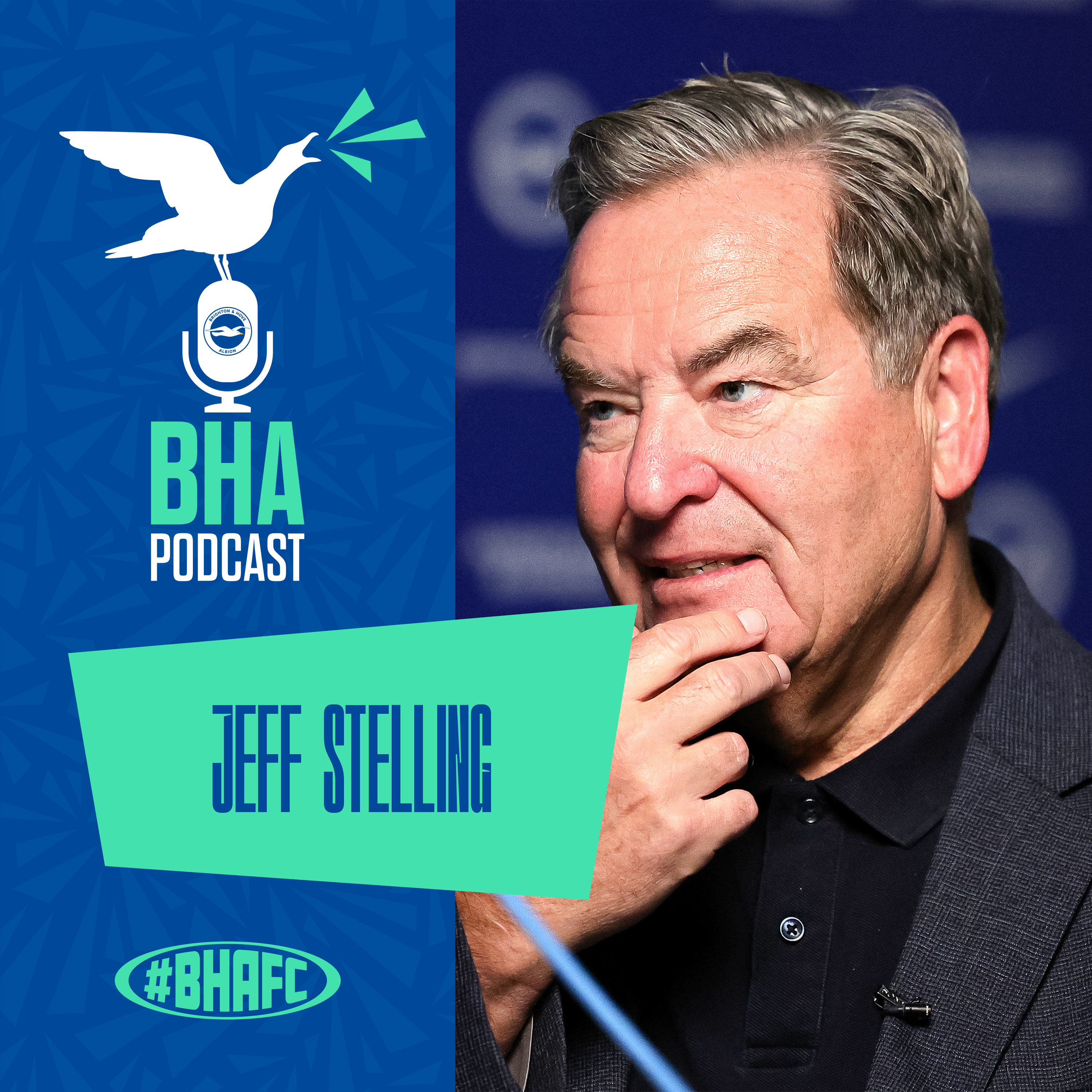 The Official Brighton and Hove Albion Podcast