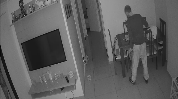 Cachorro assusta invasor e evita furto em apartamento na Vila Olímpia (SP)