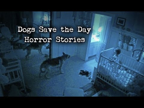 4 Scary Stories Where Dogs Saved the Day