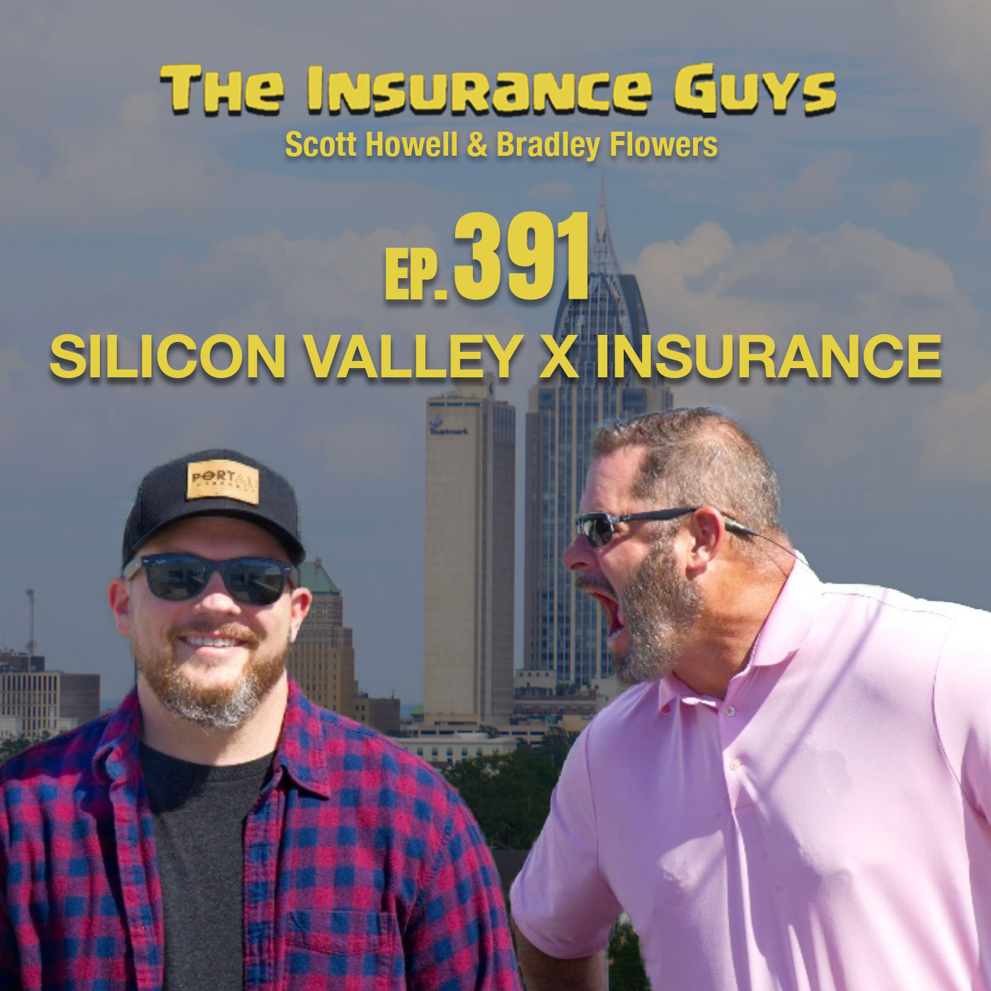 Silicon Valley X Insurance