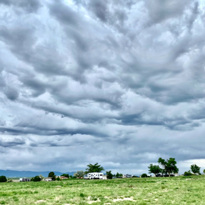 TRIPPIN WITH BONDZEE