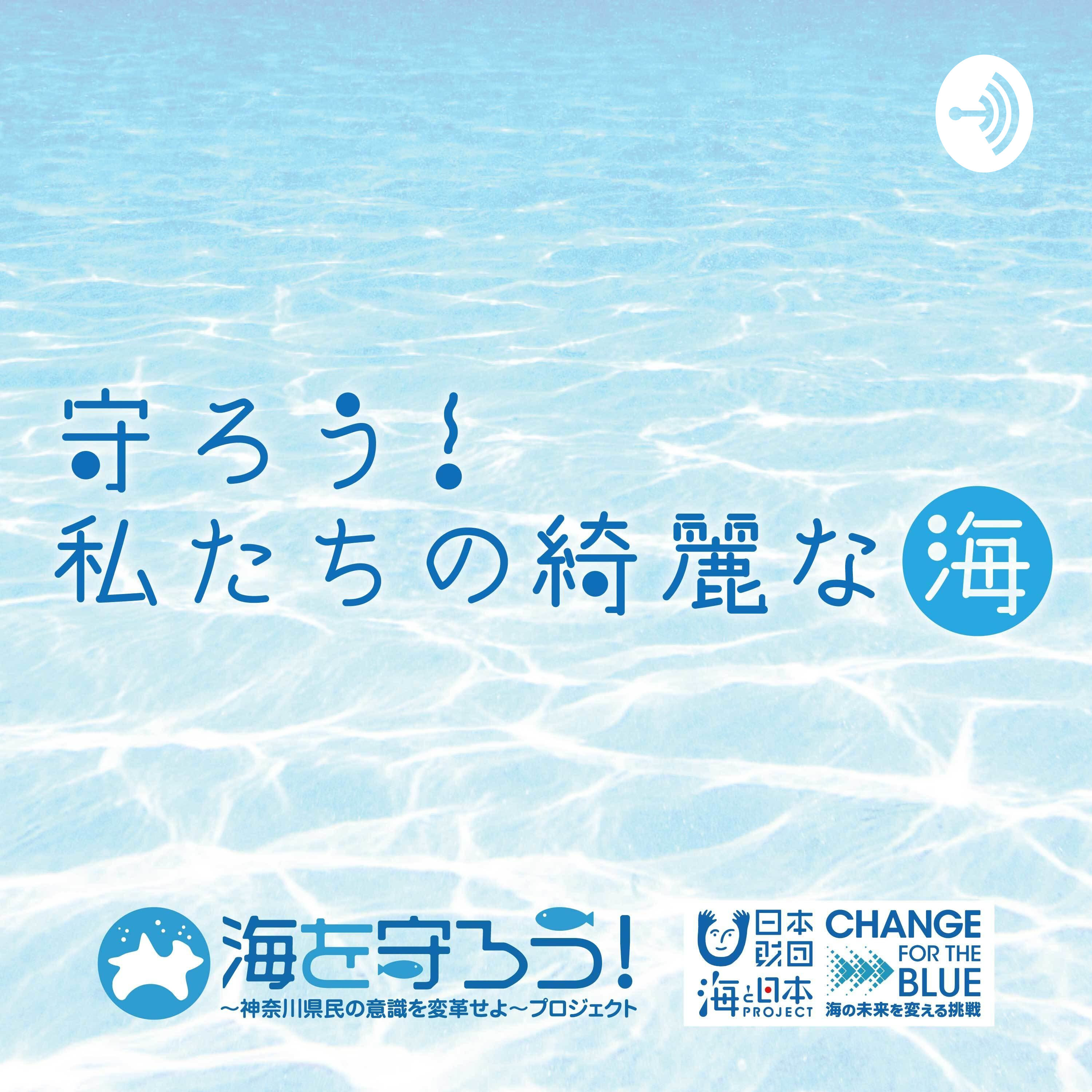 一般社団法人 対馬CAPPA 理事 末永通尚さん のインタビュー(6) episode artwork