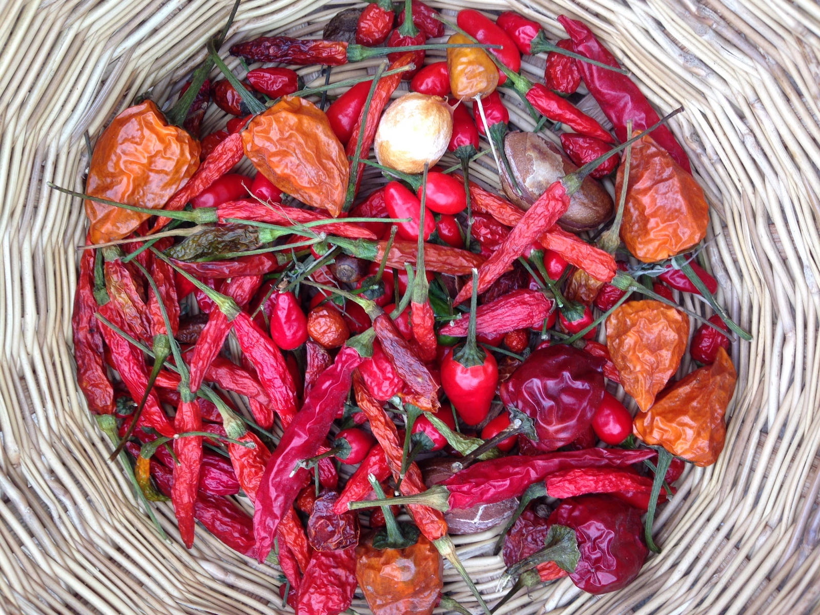 So Hot Right Now: Why We Love the Chile Pepper