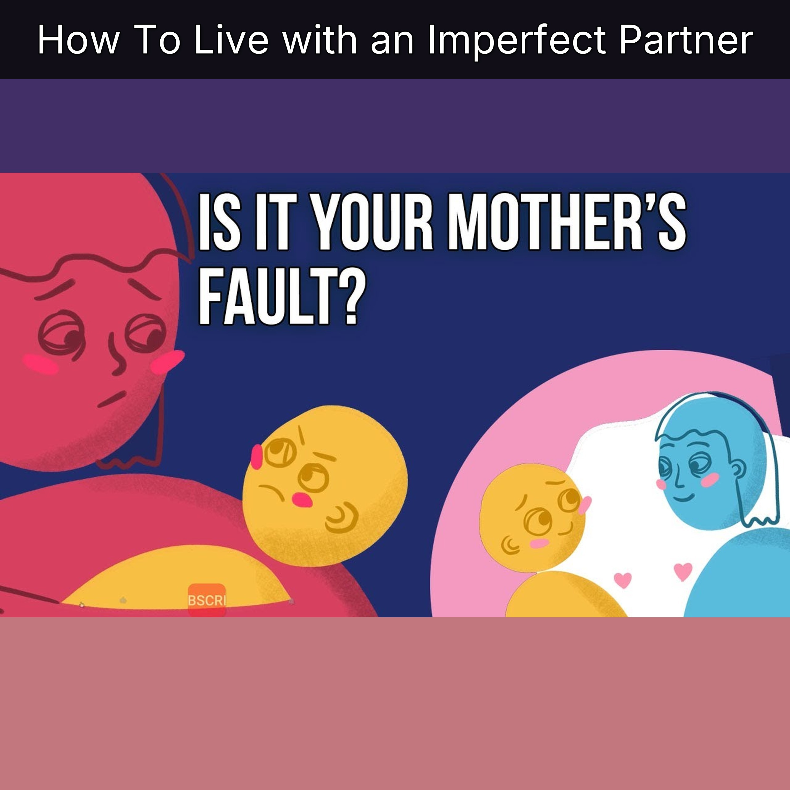 How To Live with an Imperfect Partner