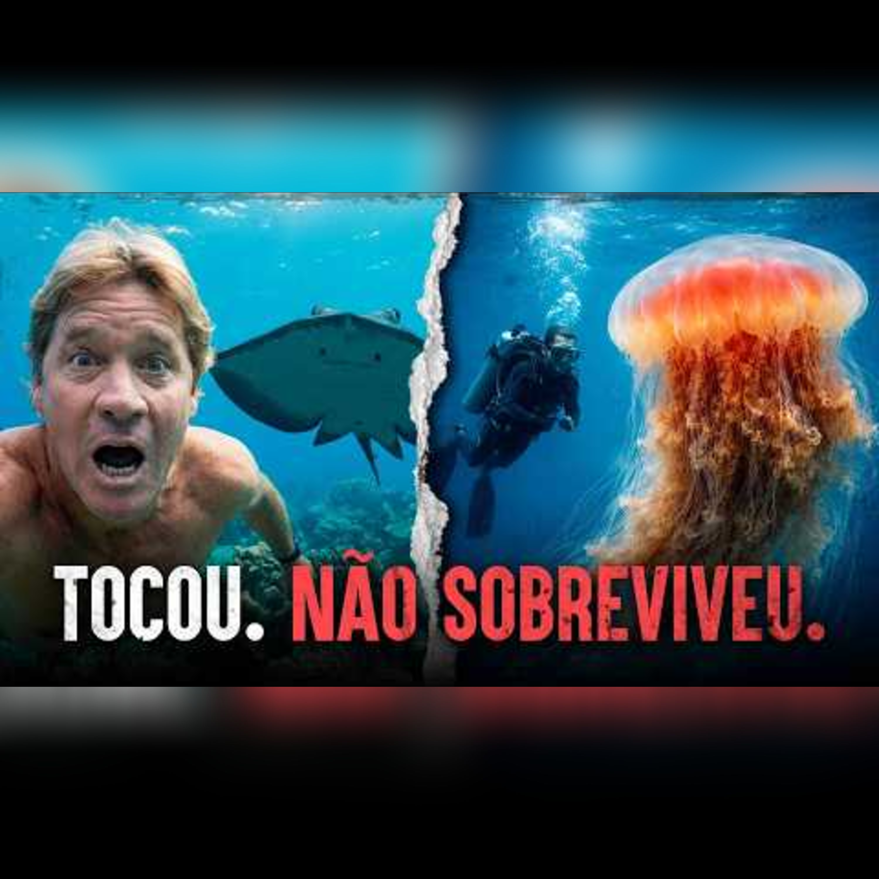 O Que Realmente Mata no Oceano — Nem os Especialistas Estão Seguros episode artwork