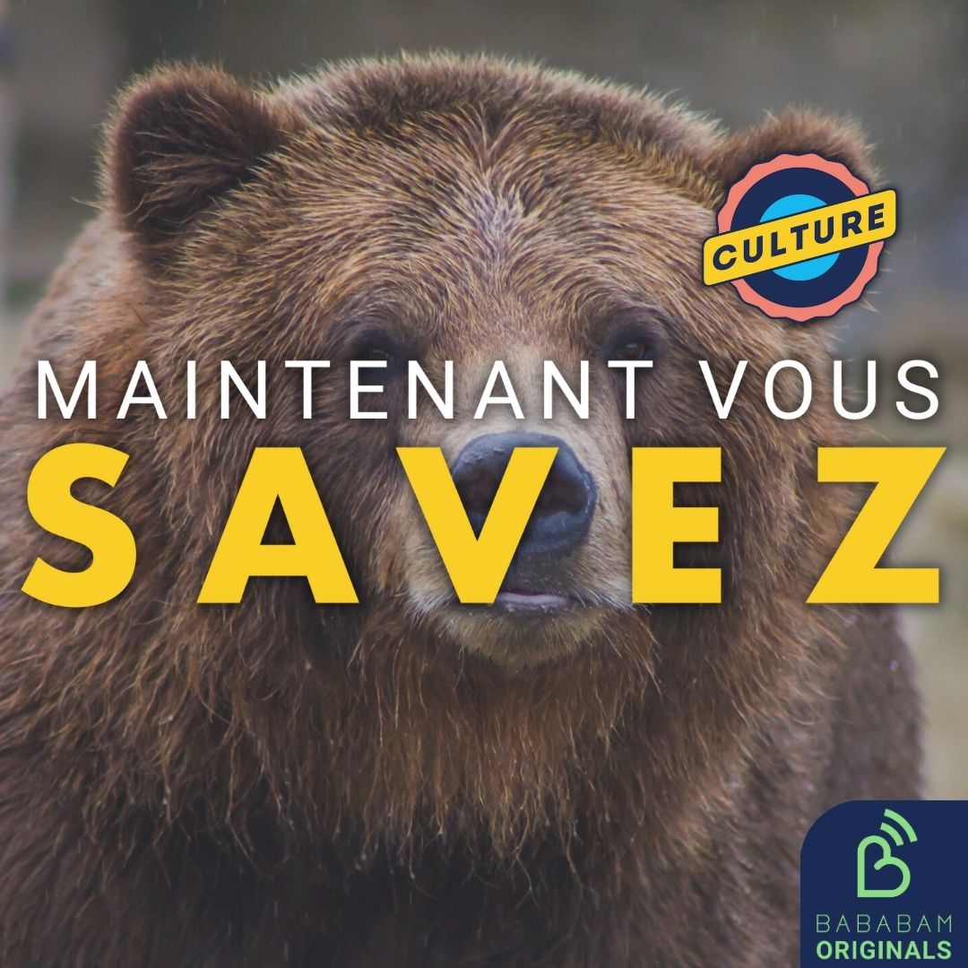 Maintenant Vous Savez - Culture