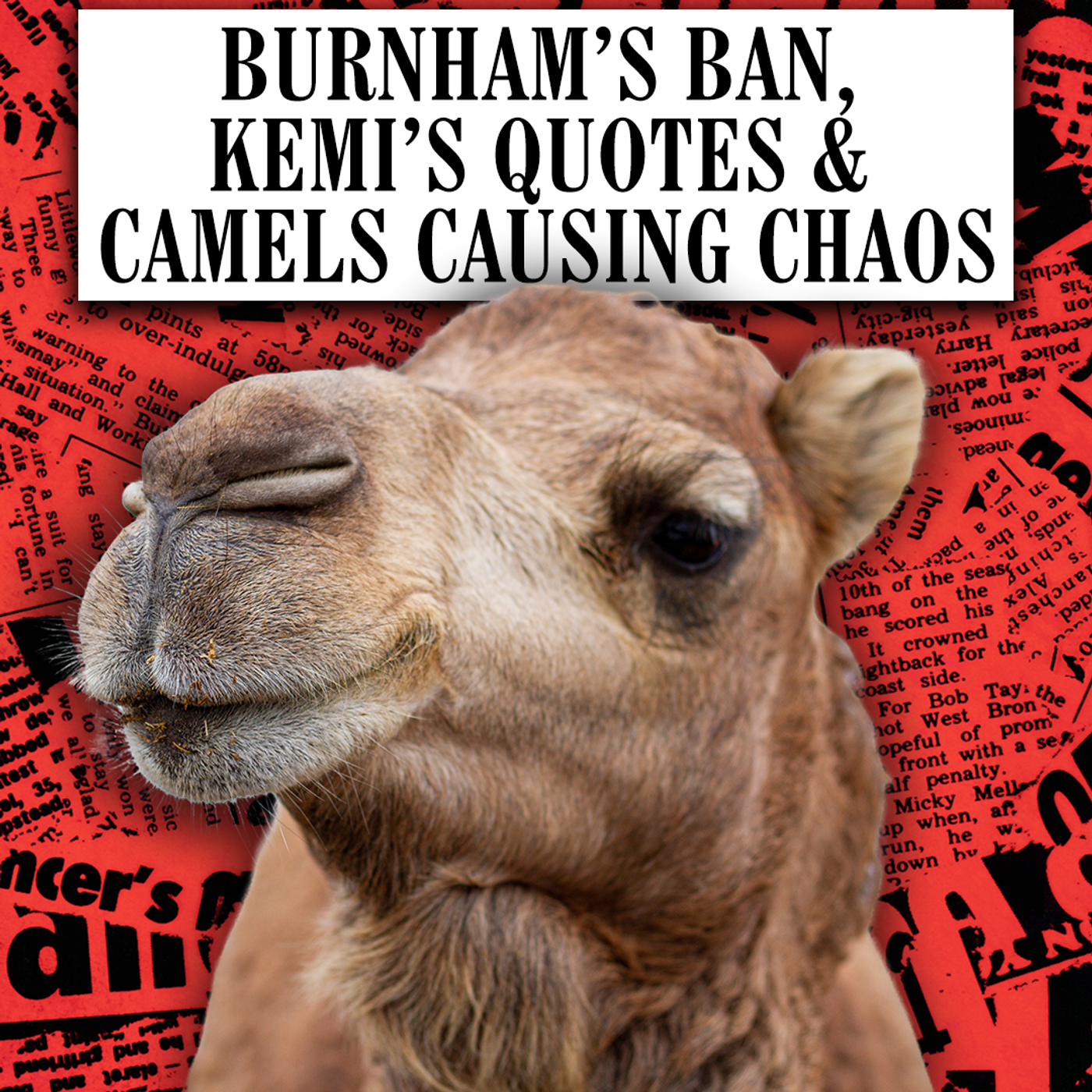 Burnham’s Ban, Kemi’s Quotes & Camels Causing Chaos