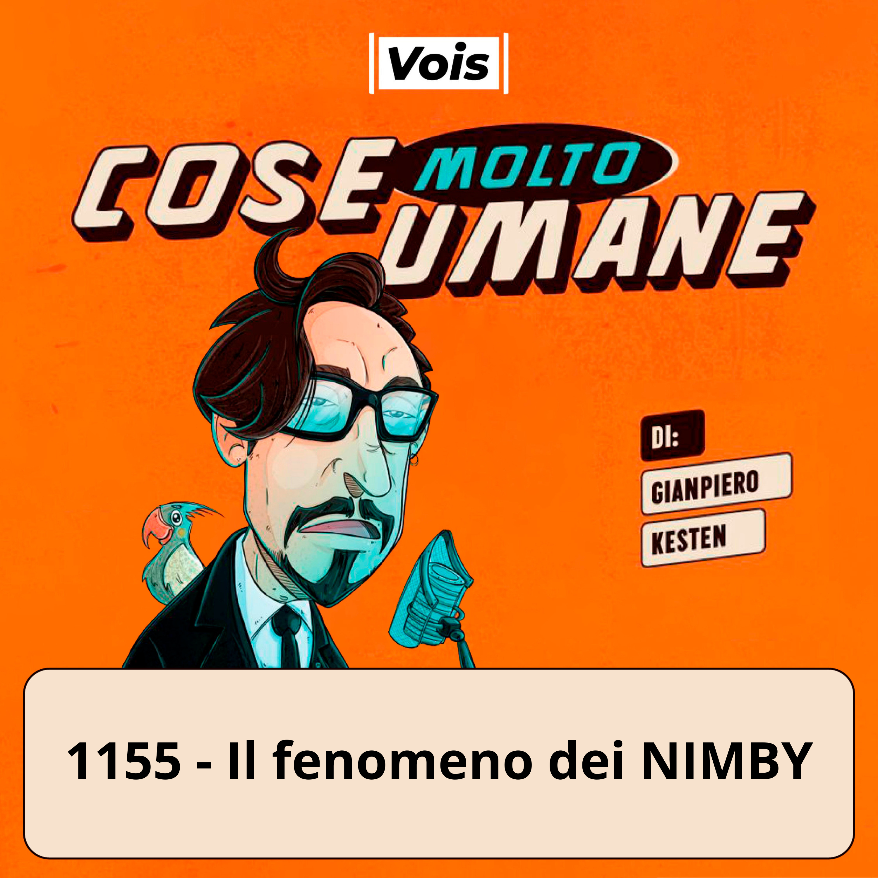 1155 - Il fenomeno dei NIMBY