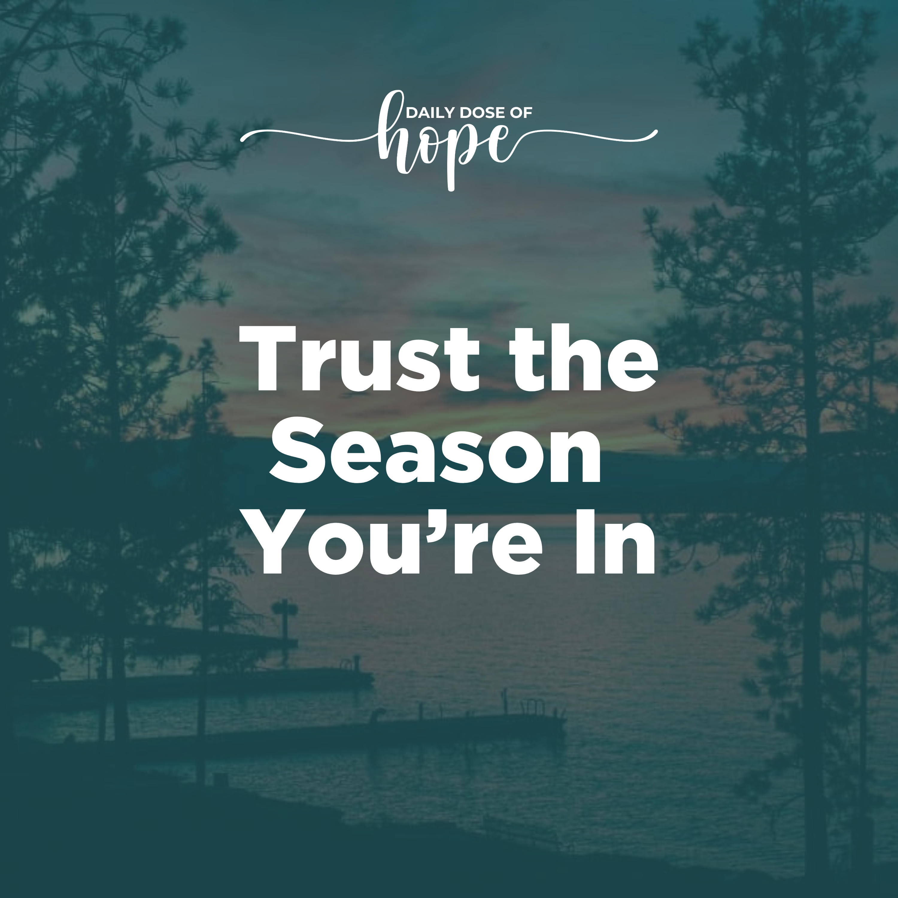 Trust the Season You’re In