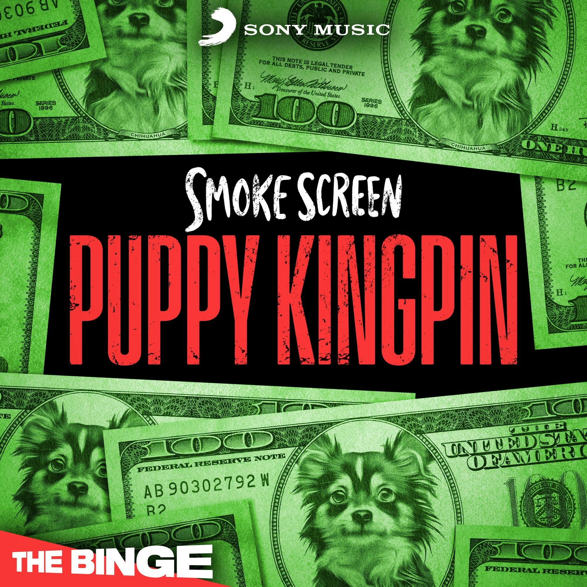 Coming Soon: Puppy Kingpin