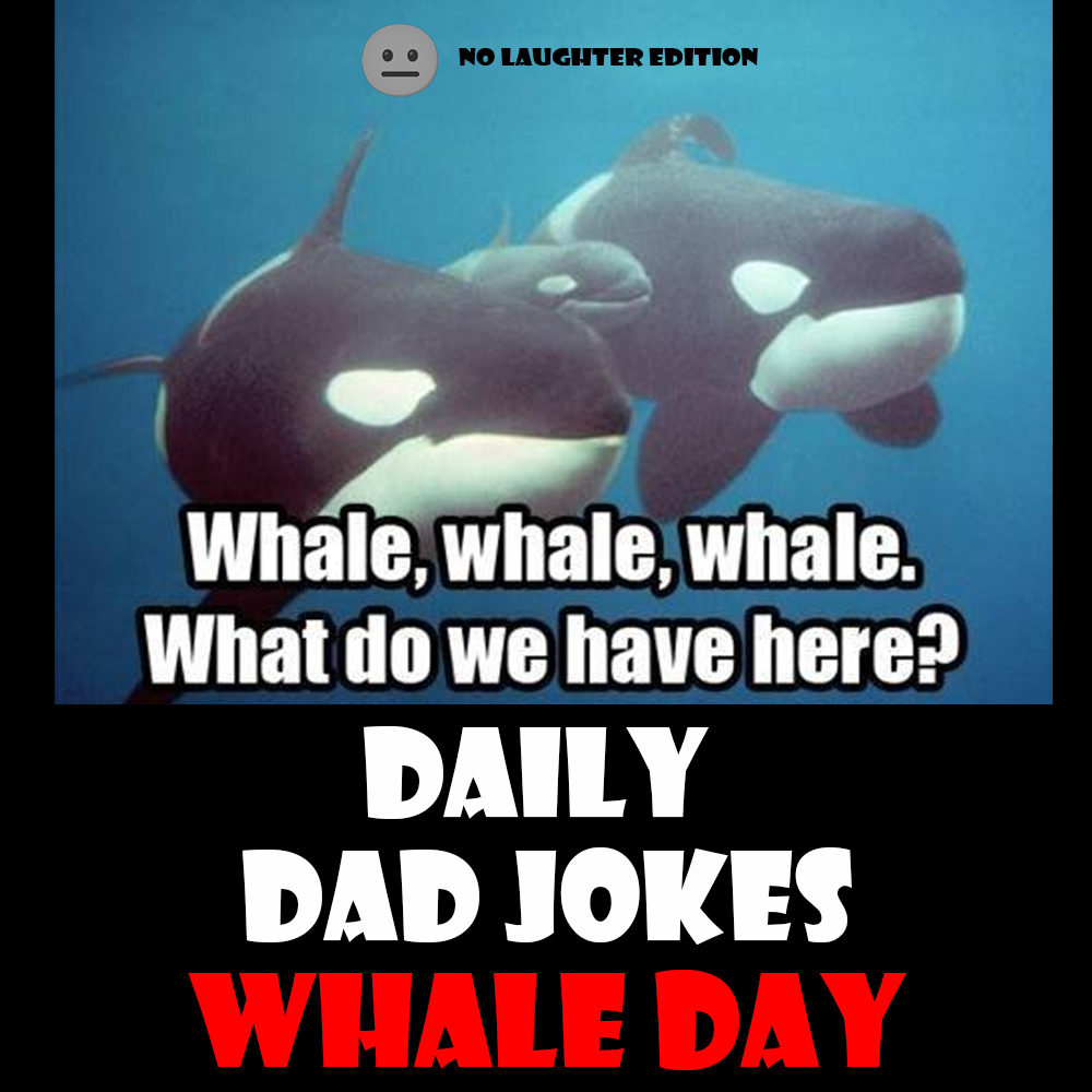 [No Laughter Version] World Whale Day! 20 Whale-y great dad jokes! 15 February 2026