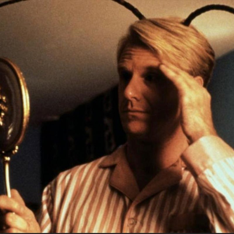 Meet the Applegates (1991)