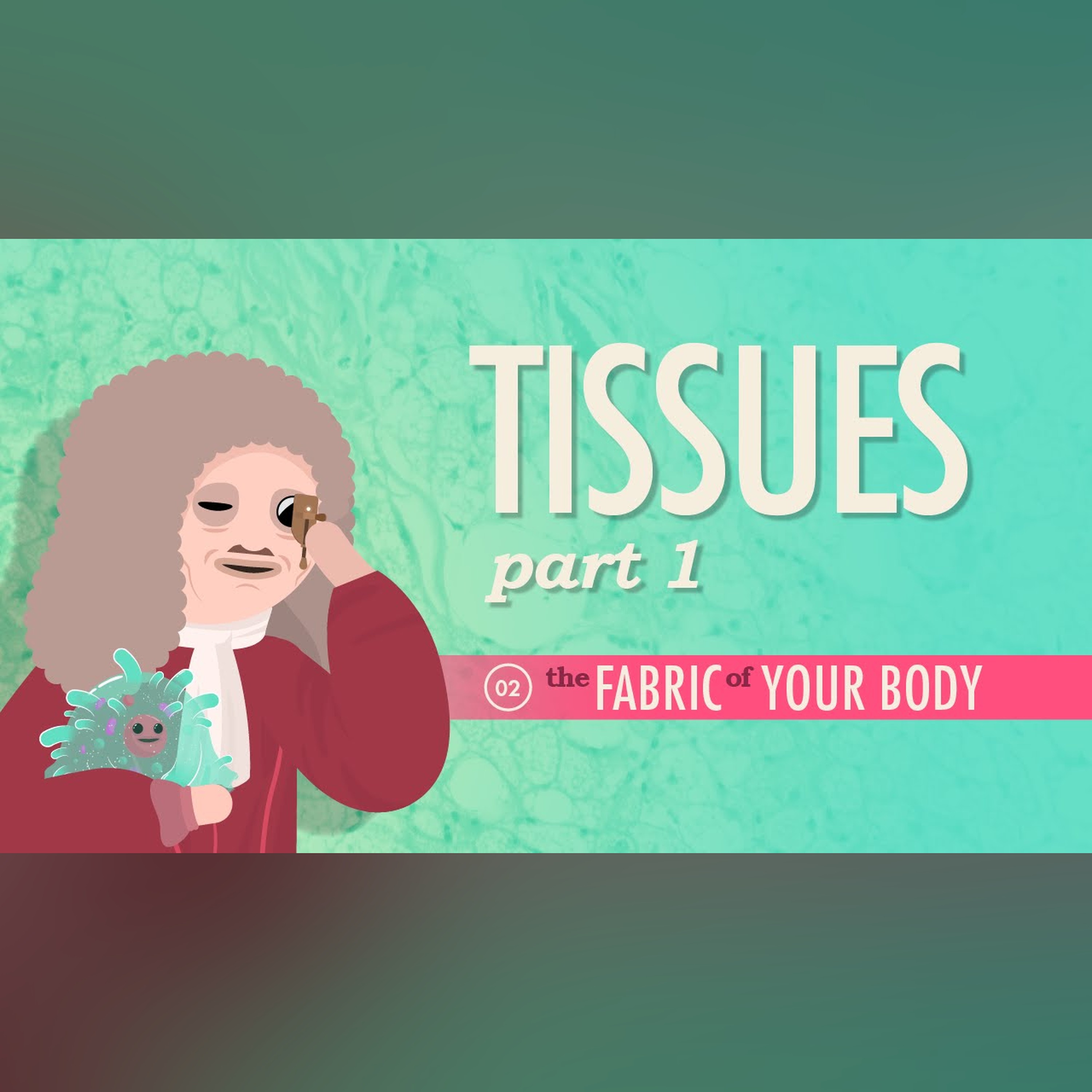 Tissues, Part 1: Crash Course Anatomy and Physiology #2
