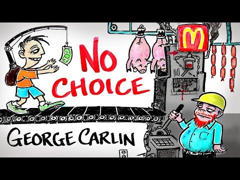 You Have NO Choice - George Carlin | After Skool