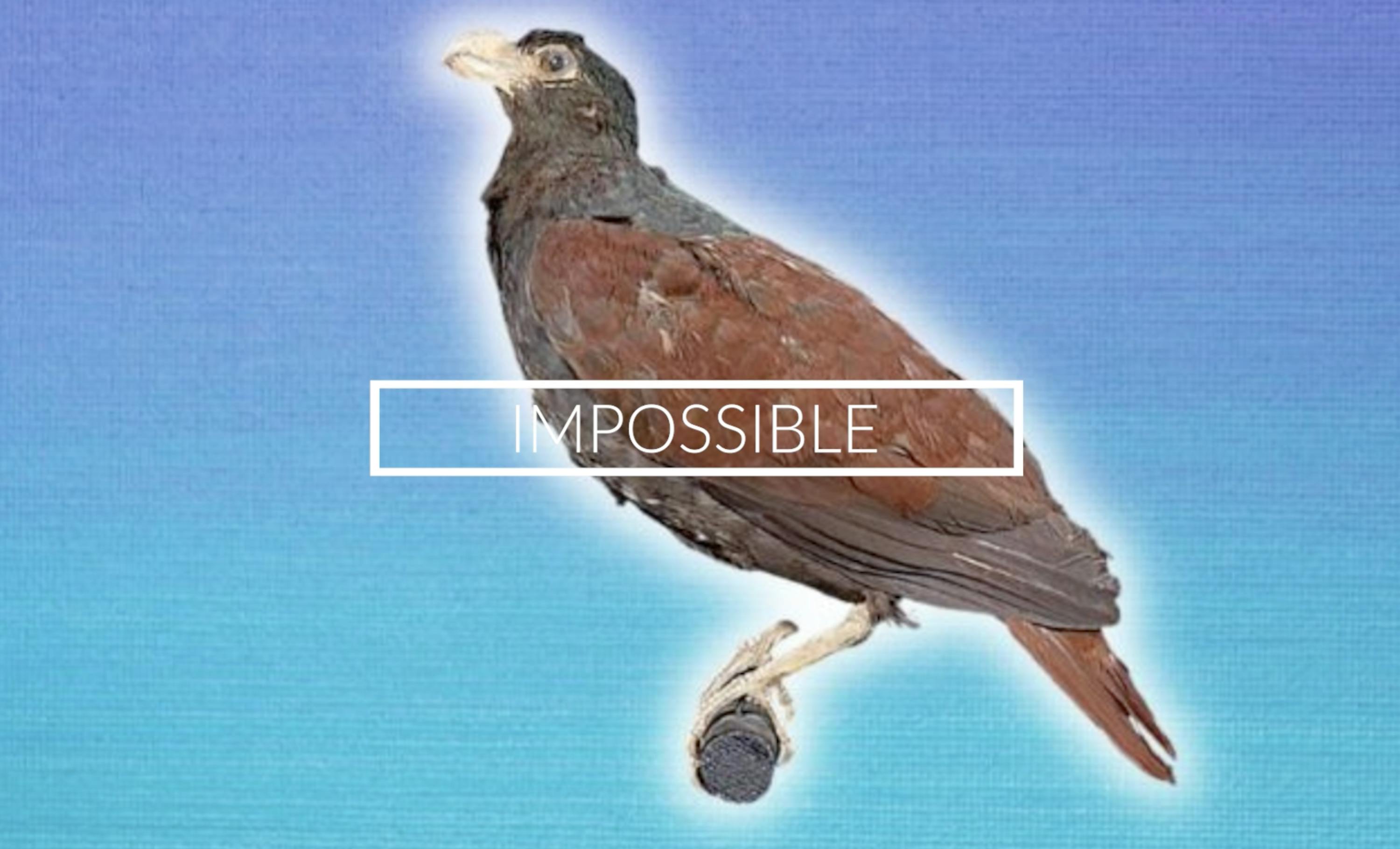 204 - Impossible 204 - Impossible