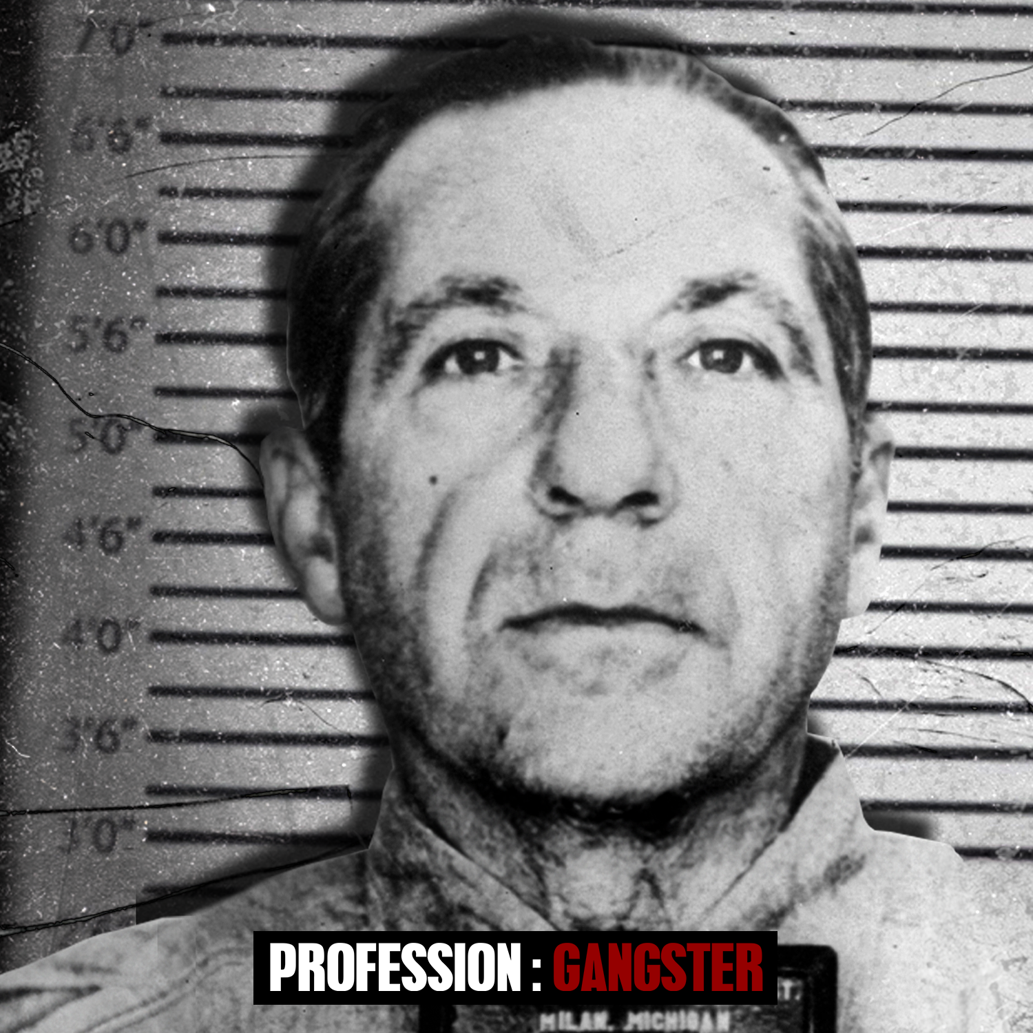 FRANK COSTELLO : Le Parrain qui a inspiré Vito Corleone (Partie 2)