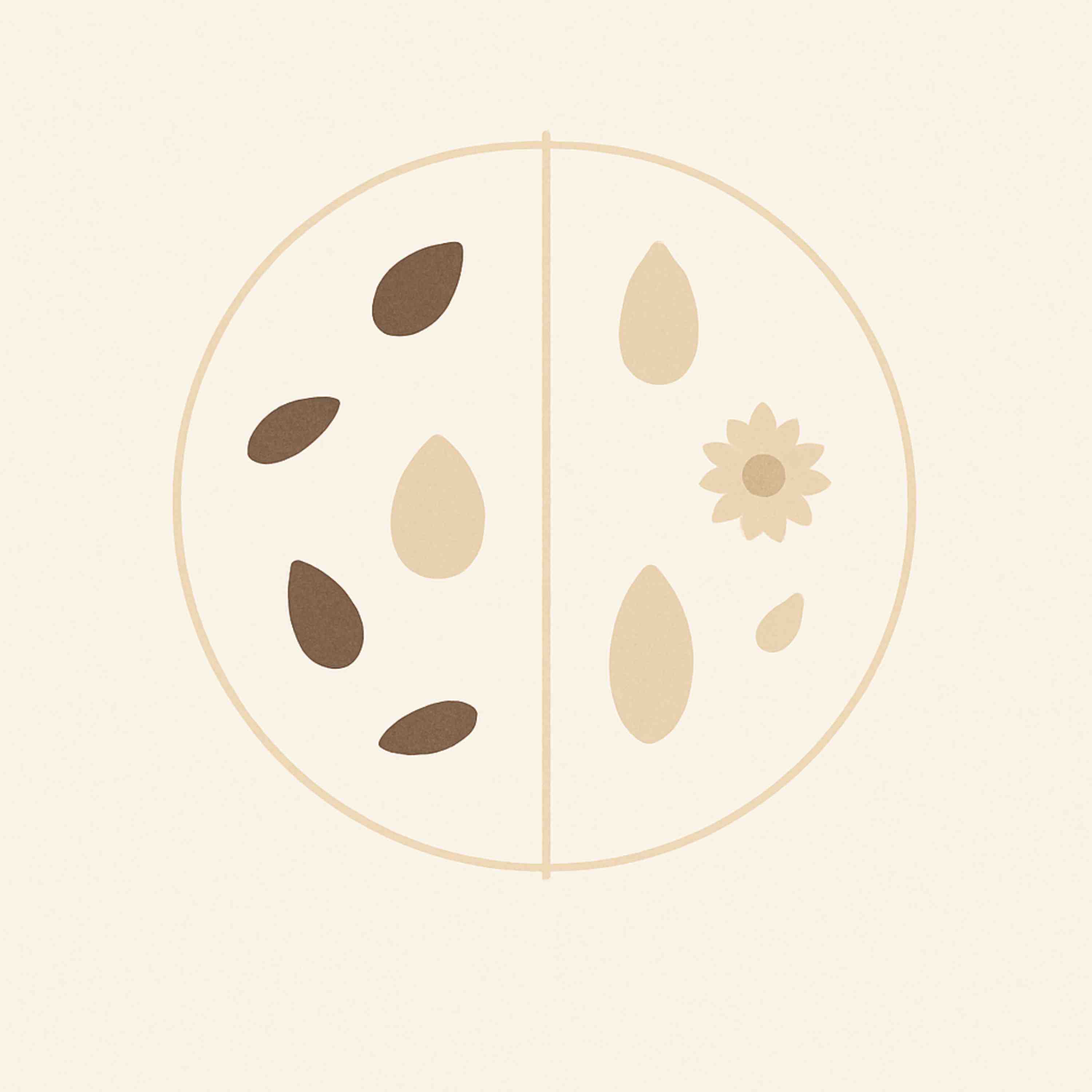 3204: What is Seed Cycling? The Benefits of Seed Cycling and How to Seed Cycle on Hormone Health