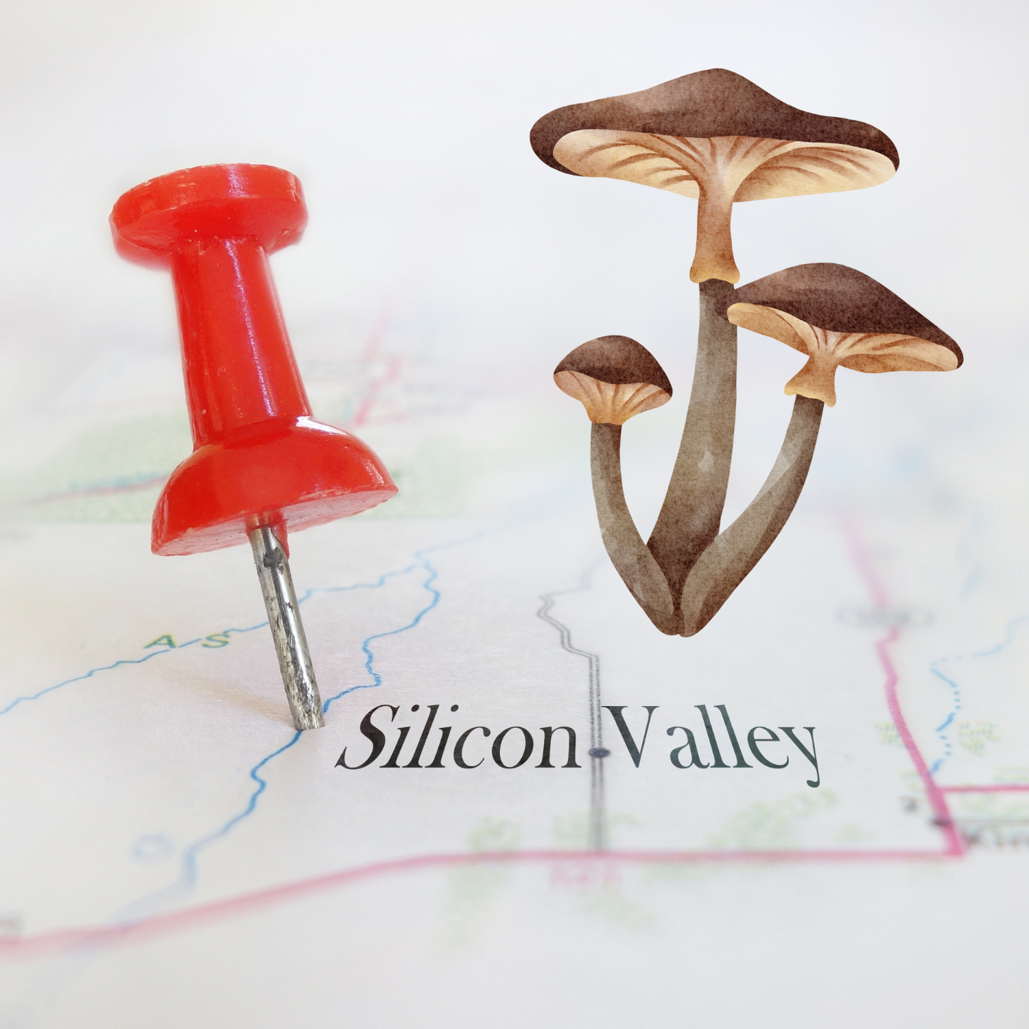 Why Silicon Valley is Obsessed with Microdosing