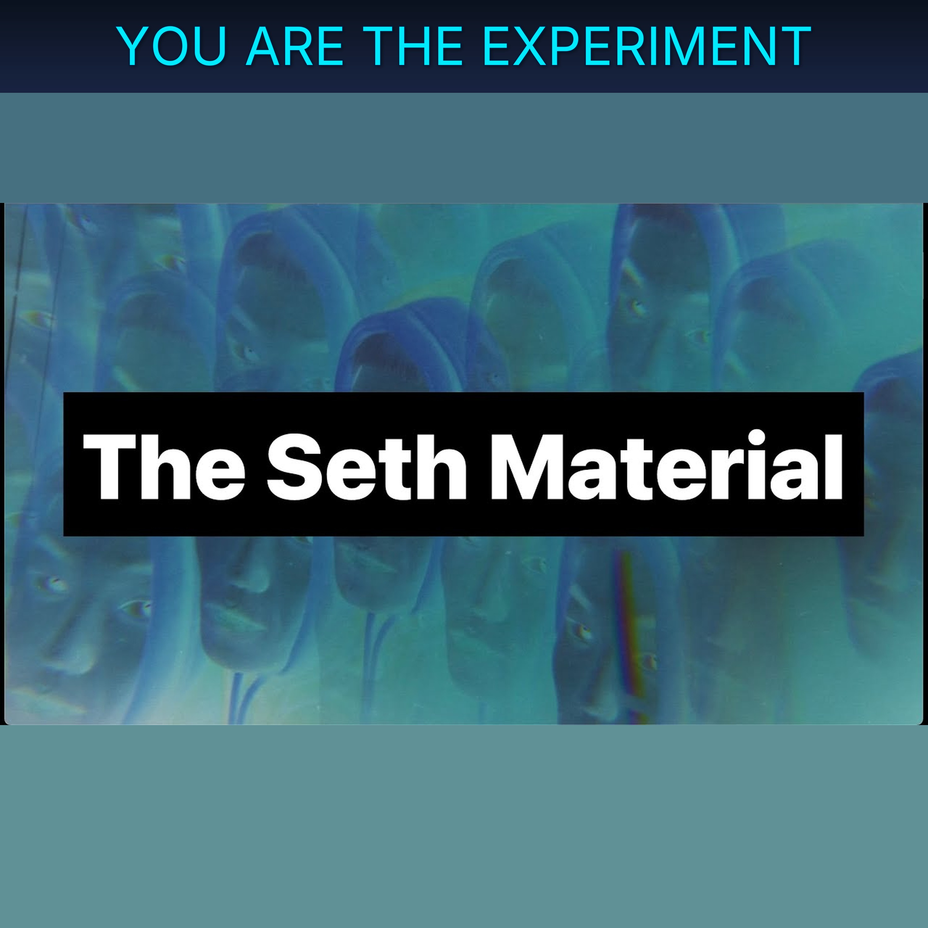 YOU ARE THE EXPERIMENT episode artwork
