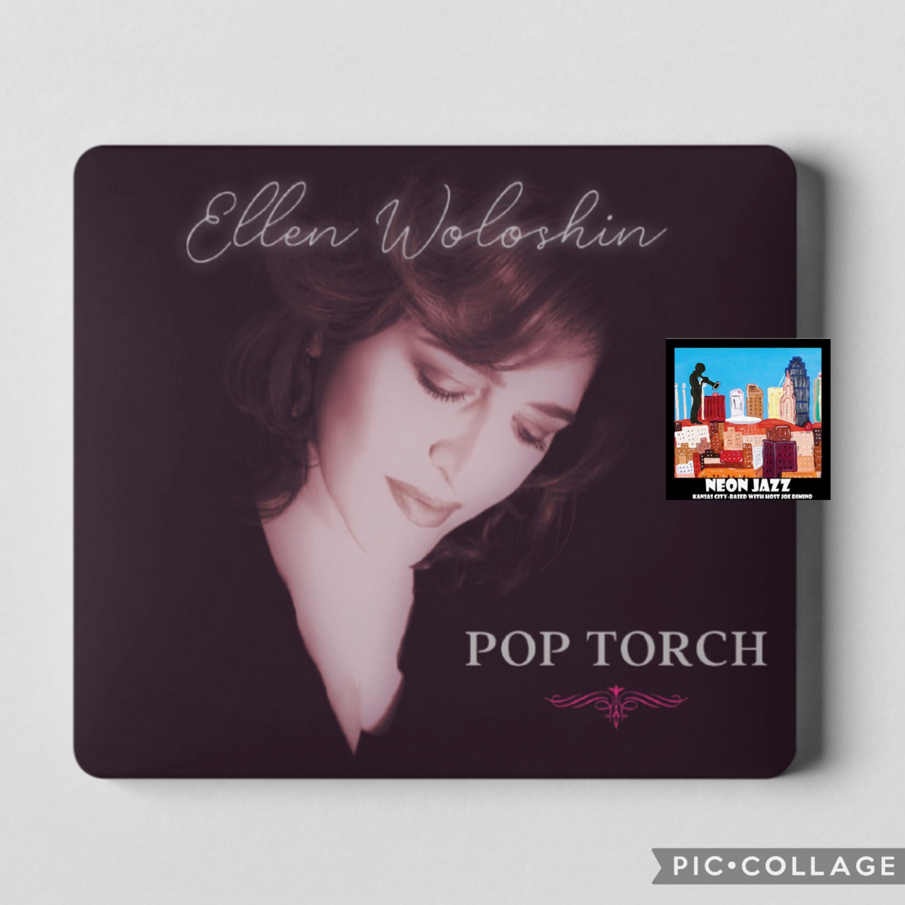 Acclaimed Pop Artist Ellen Woloshin