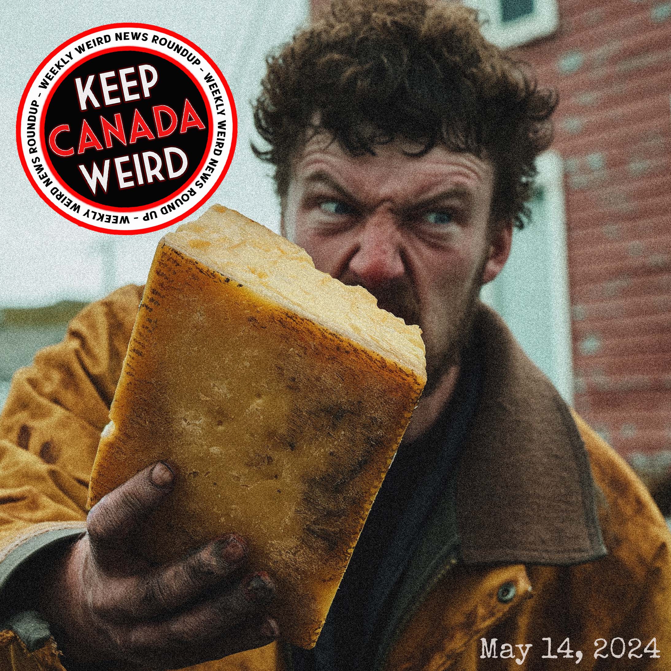 KEEP CANADA WEIRD - May 14, 2024 - Tim Horton's "woke" lids, the Newfoundland cheese attack, snowflake the chicken, and the wild dogs in Edmonton