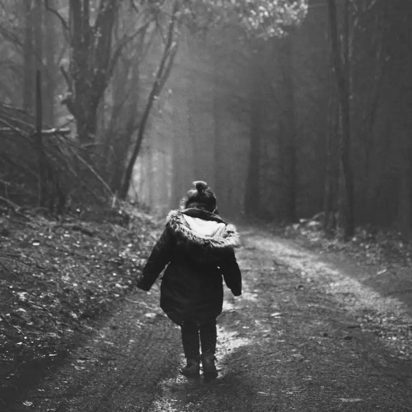 HISTORIAS JAMÁS CONTADAS POR UN GUARDABOSQUES (PARTE 3)